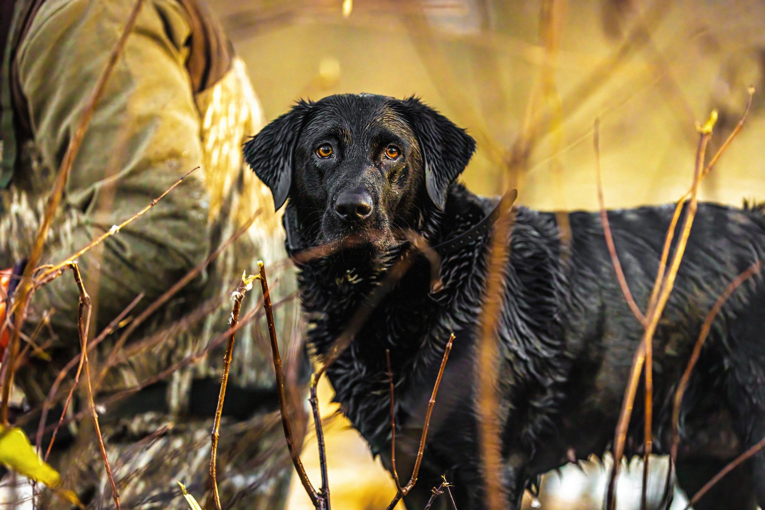 MILLIE 2024-11-23 AR Opener NICK JOSH WHIT MILLIE BROCK ND2_1294-DeNoiseAI-severe-noise.jpg
