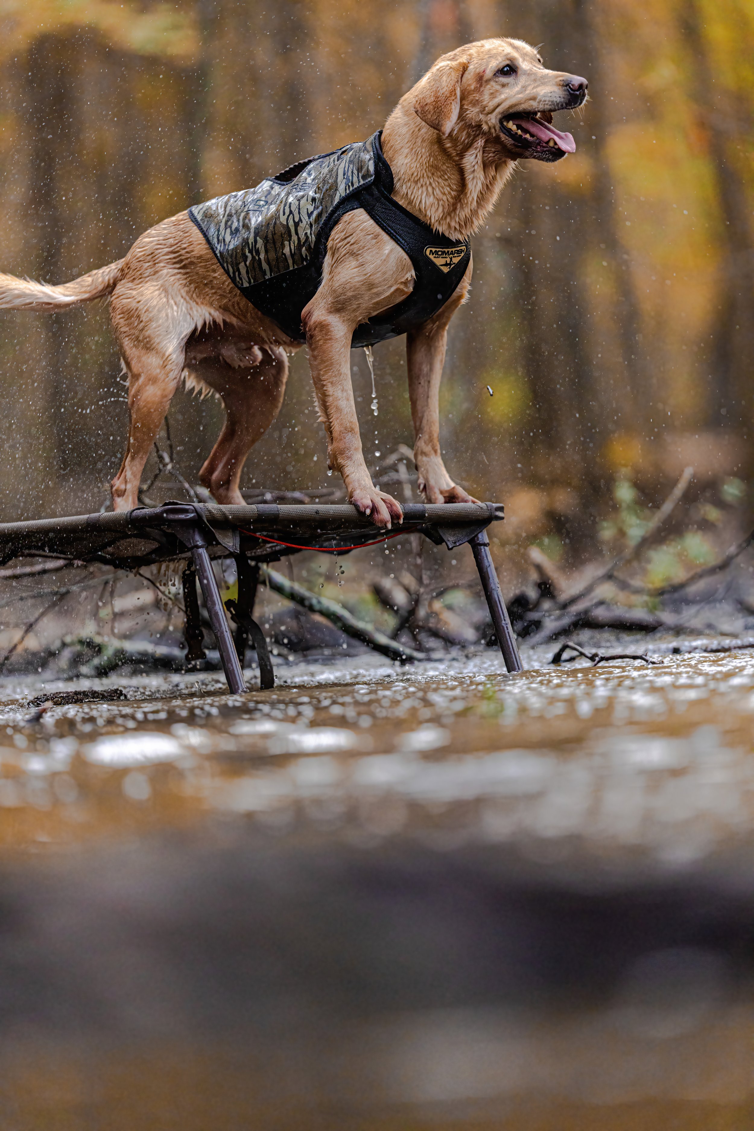 happy tuck on a FINAL STAND 2024-11-24 AR DAY2 NICK JOSH WHIT MILLIE TUCKER ND2_4321.jpg