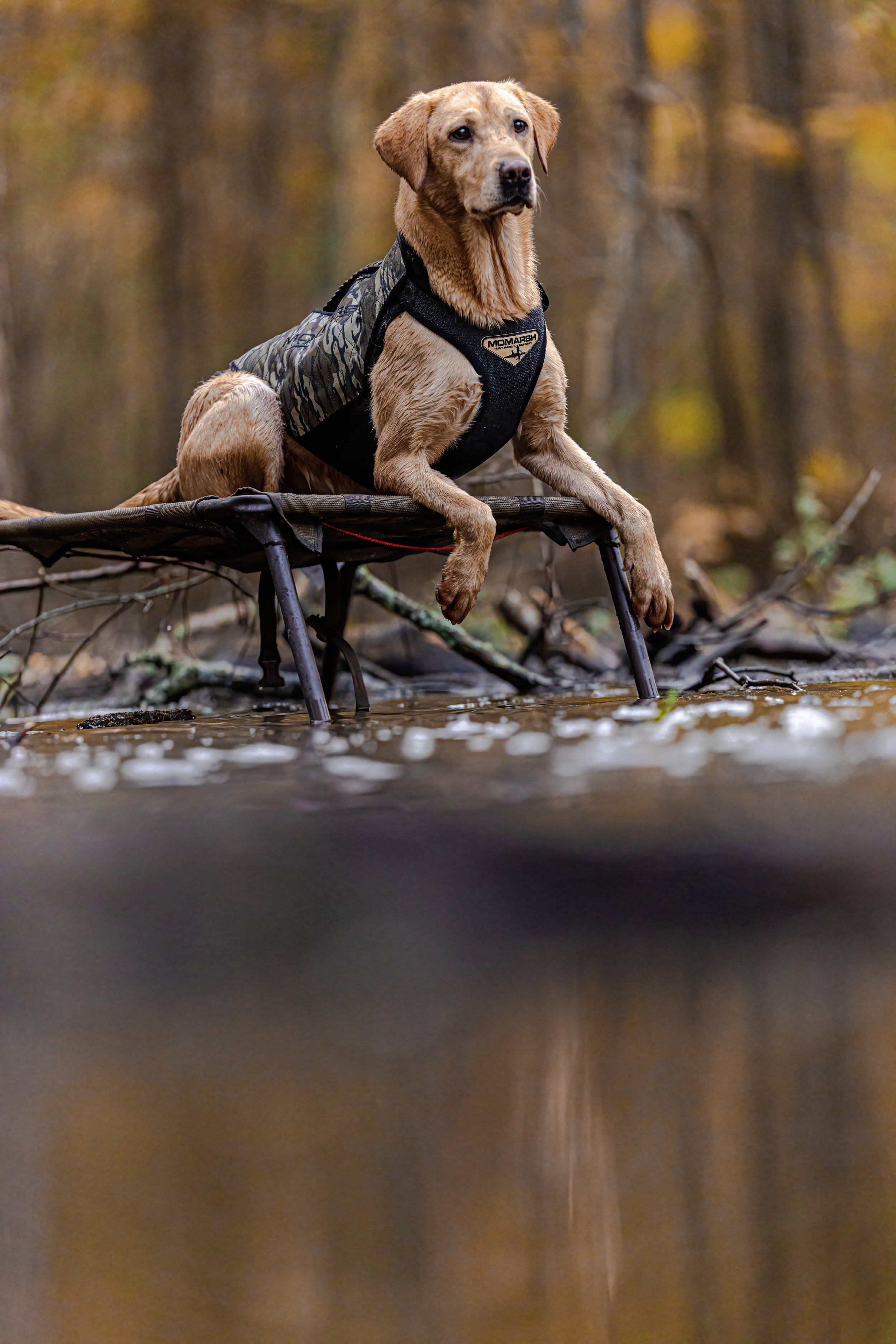 TUCK on a FINAL STAND 2024-11-24 AR DAY2 NICK JOSH WHIT MILLIE TUCKER ND2_4224.jpg
