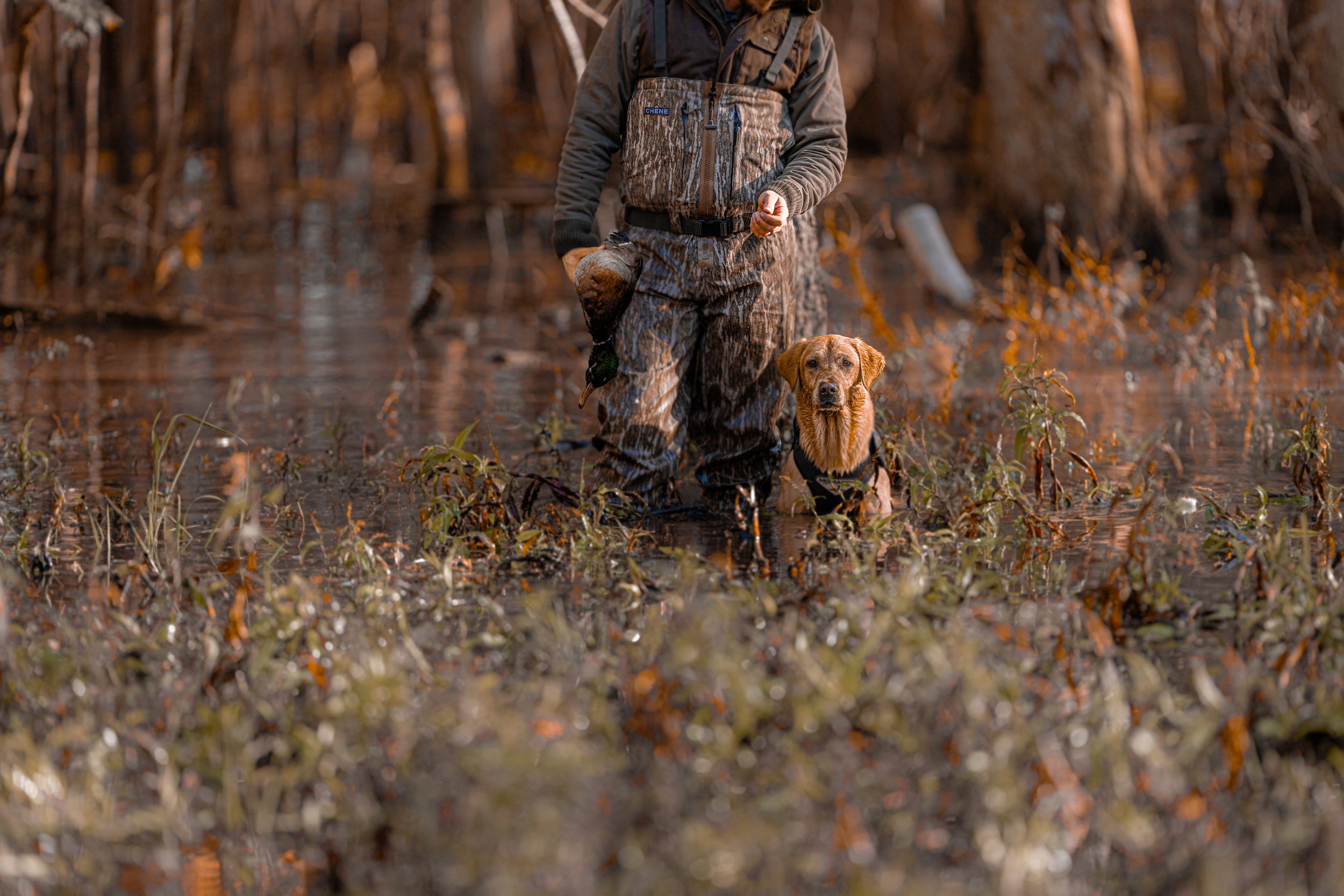 DRAFT PSD orange malllard builder 2024-11-24 AR DAY2 NICK JOSH WHIT MILLIE TUCKER ND2_7523-2.jpg