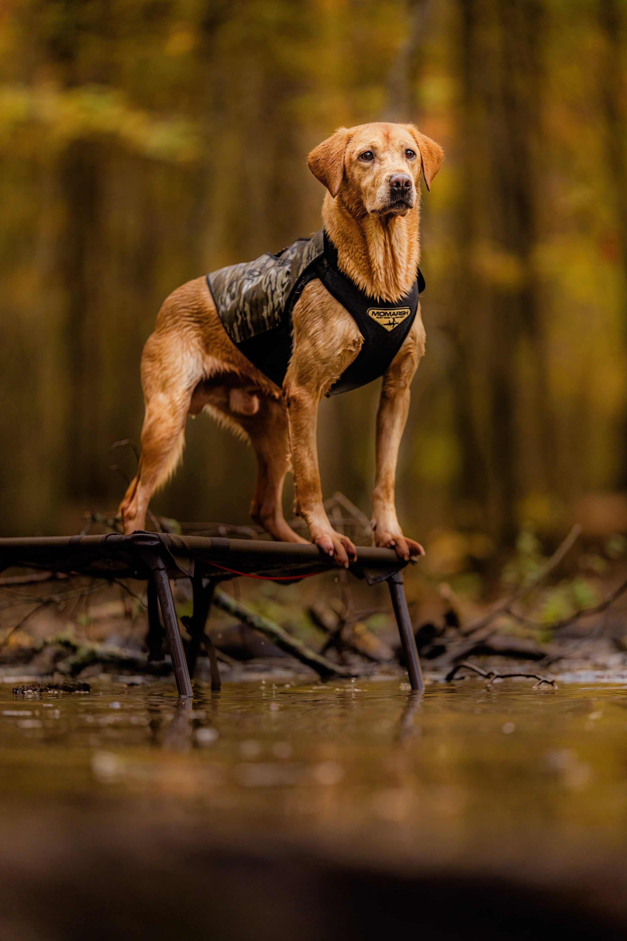 tucker --- 2024-11-24 AR DAY2 NICK JOSH WHIT MILLIE TUCKER ND2_4542.jpg