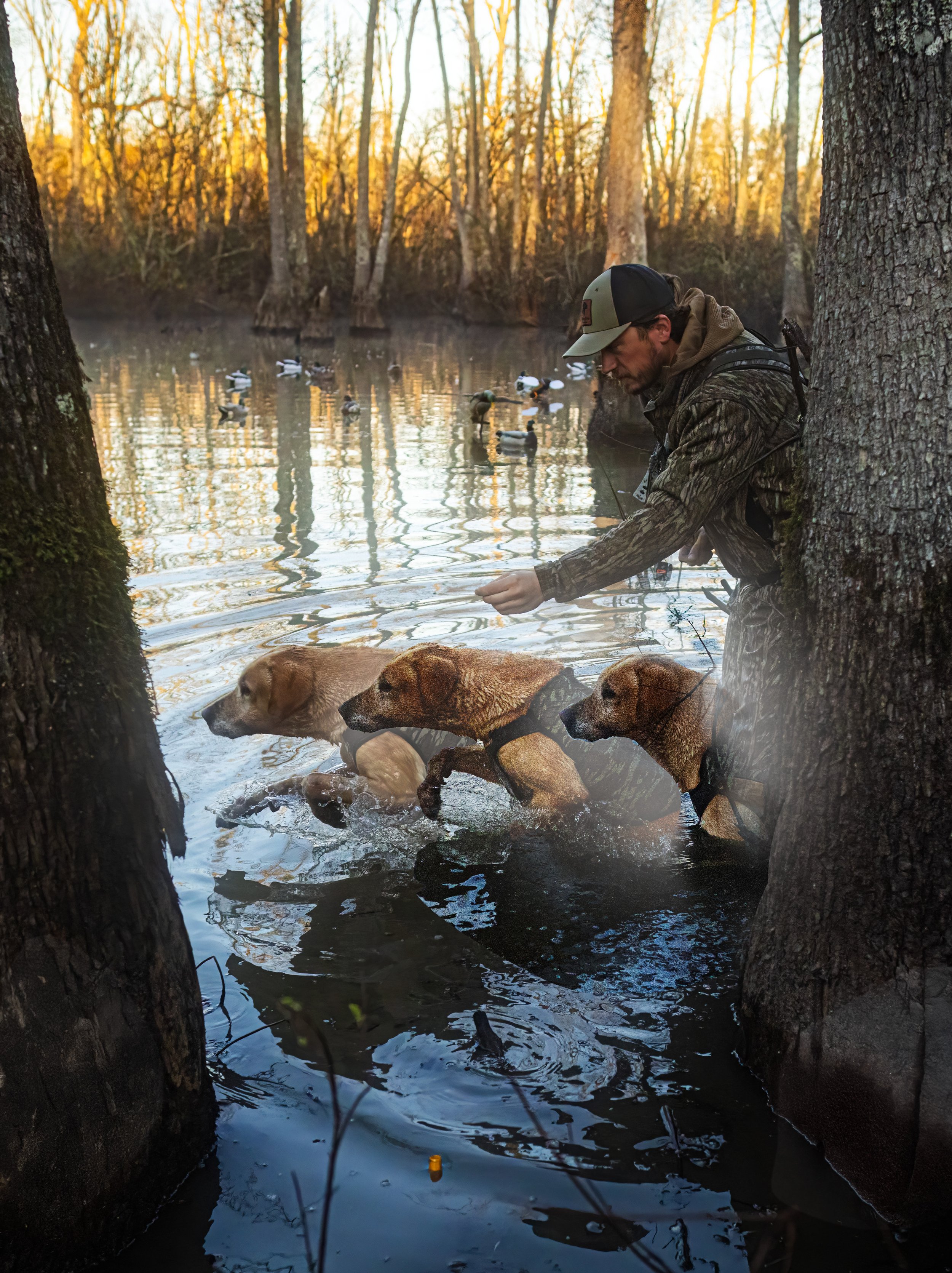 TRICOMP 2024-11-23 AR Opener NICK JOSH WHIT MILLIE BROCK ND2_1058.jpg