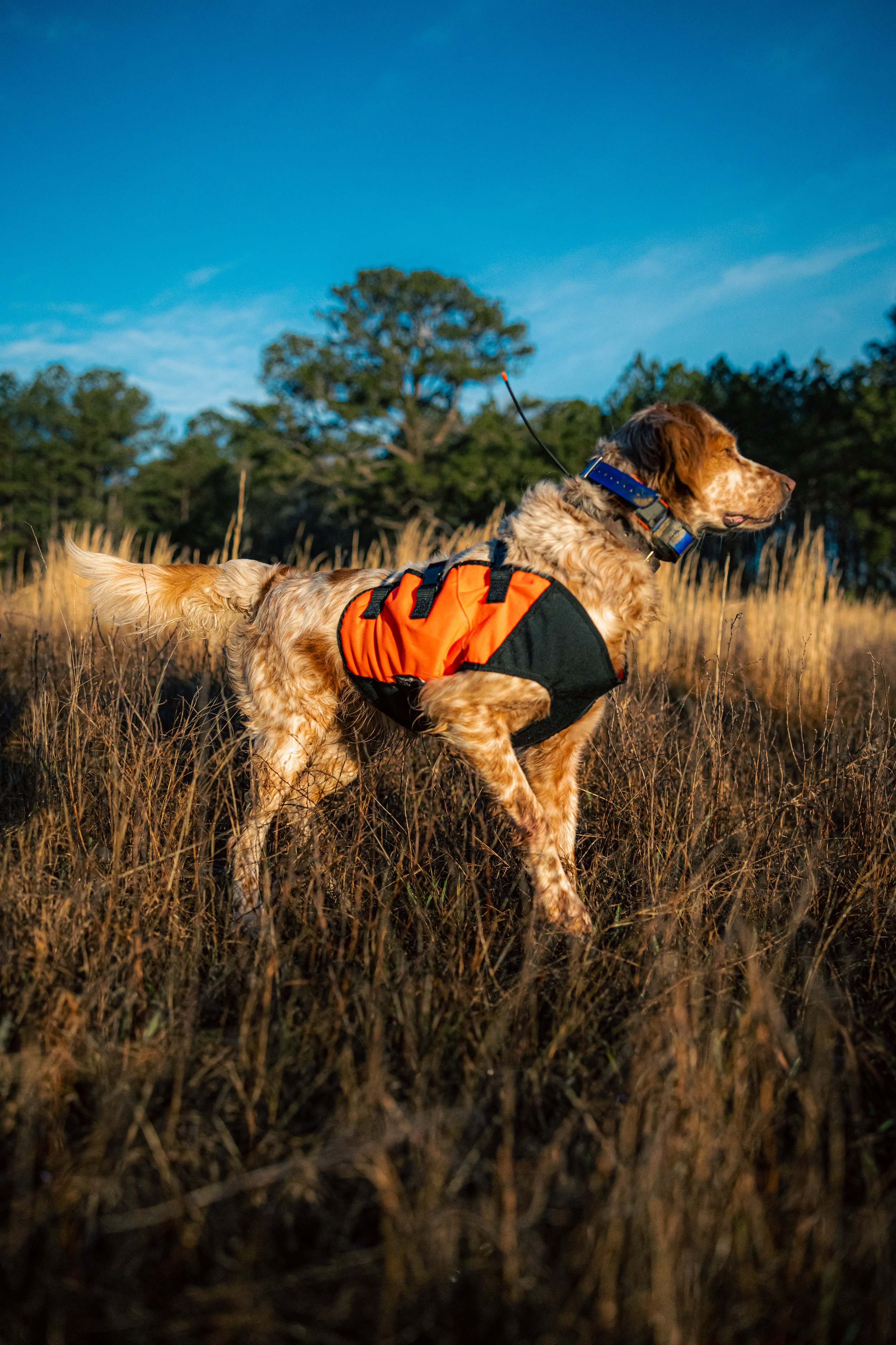 2025.03.18 Sylmar SWS Bull - Cowboy 0D0A7264.jpg