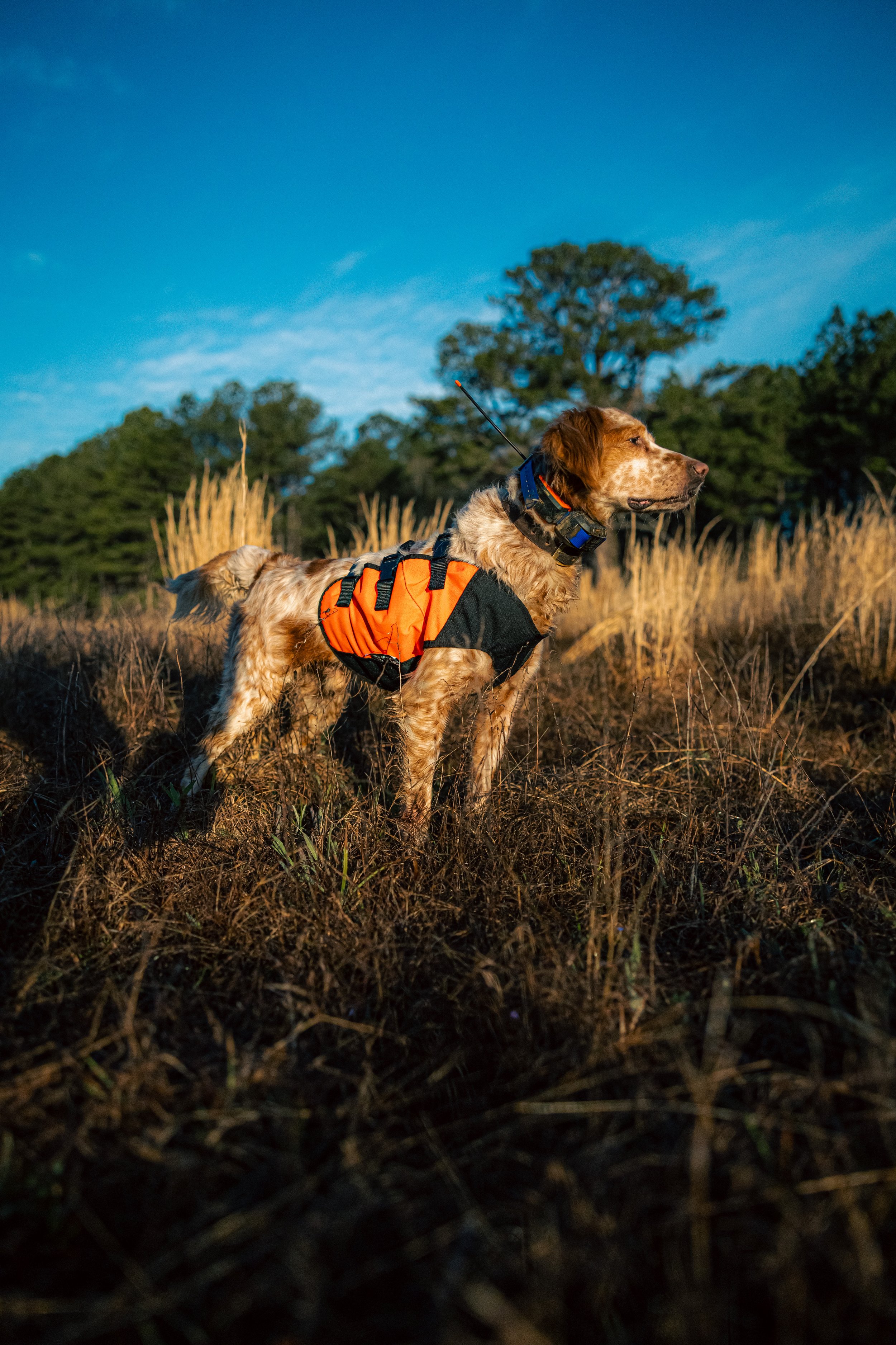 2025.03.18 Sylmar SWS Bull - Cowboy 0D0A7723.jpg