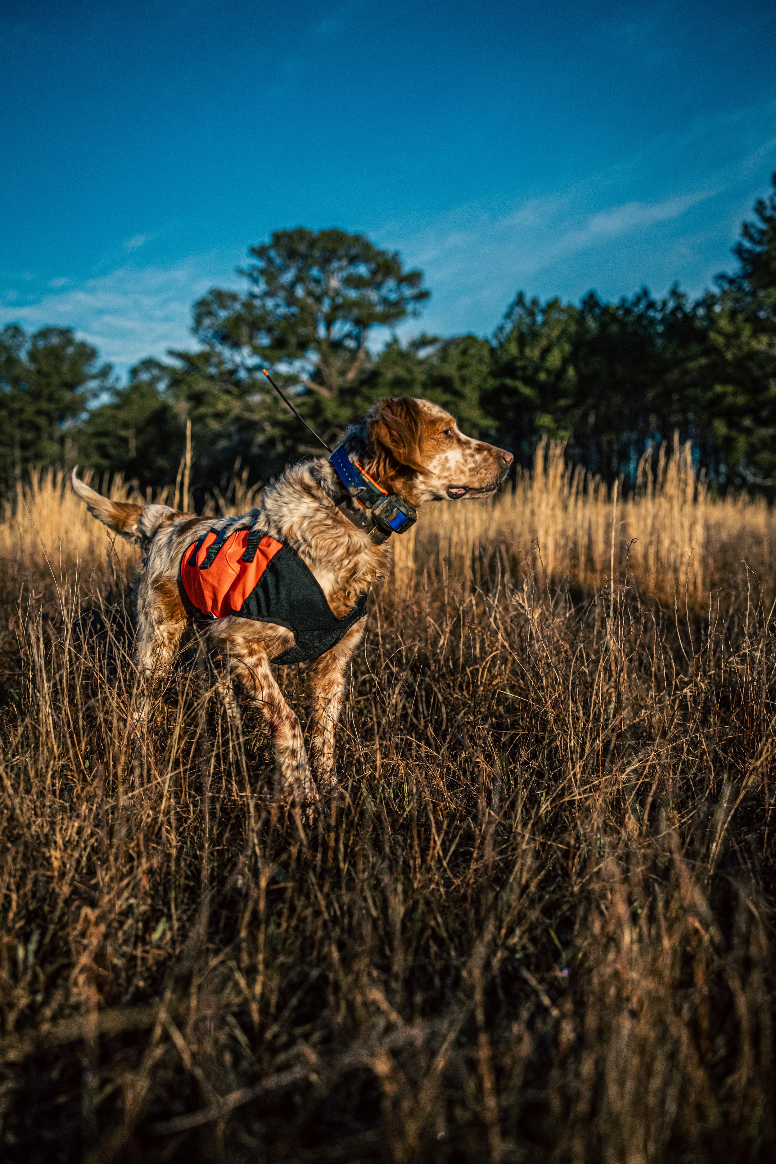 2025.03.18 Sylmar SWS Bull - Cowboy 0D0A7244.jpg