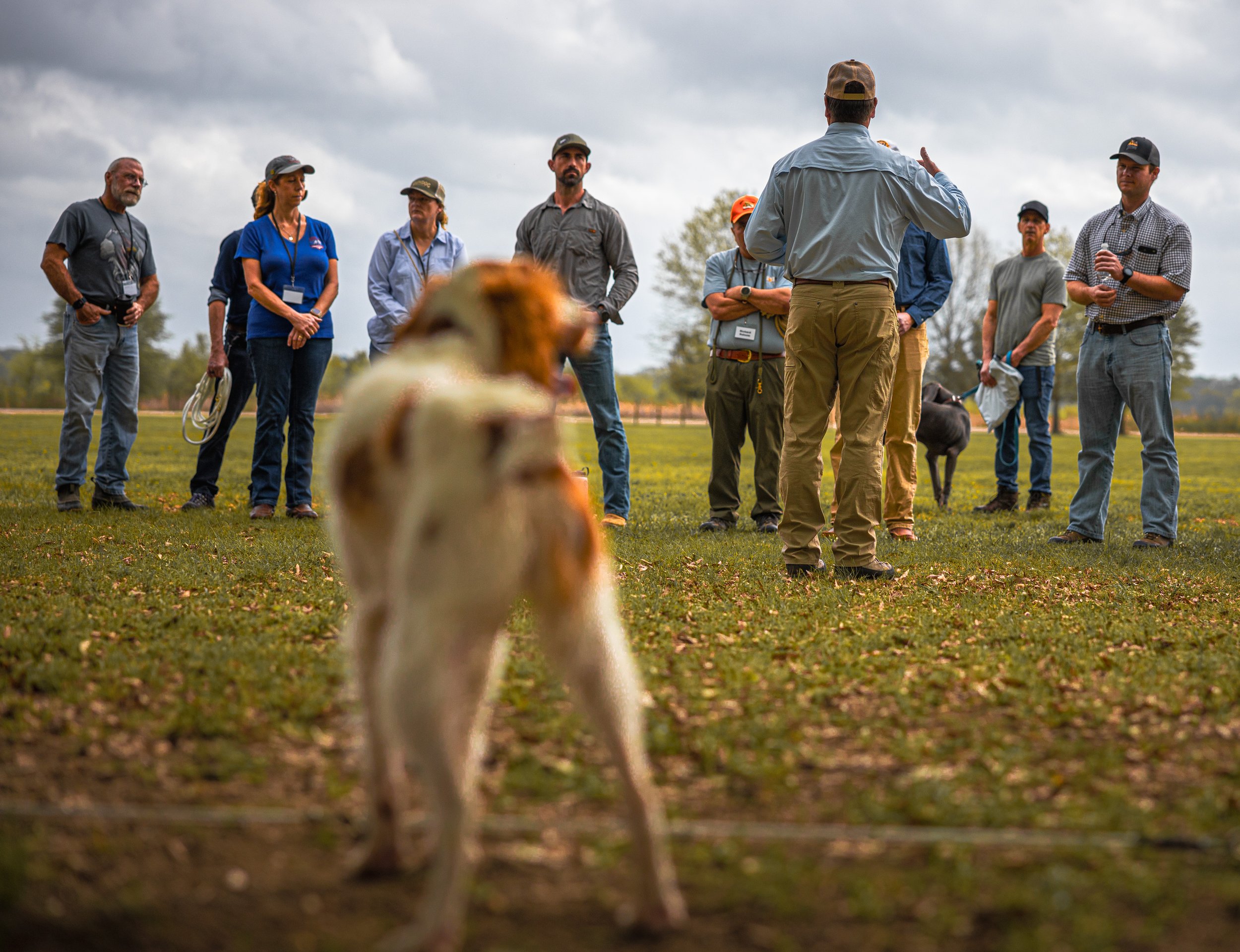 2025-04-05 RSK Seminar Bird Dogs 0D0A1765.jpg