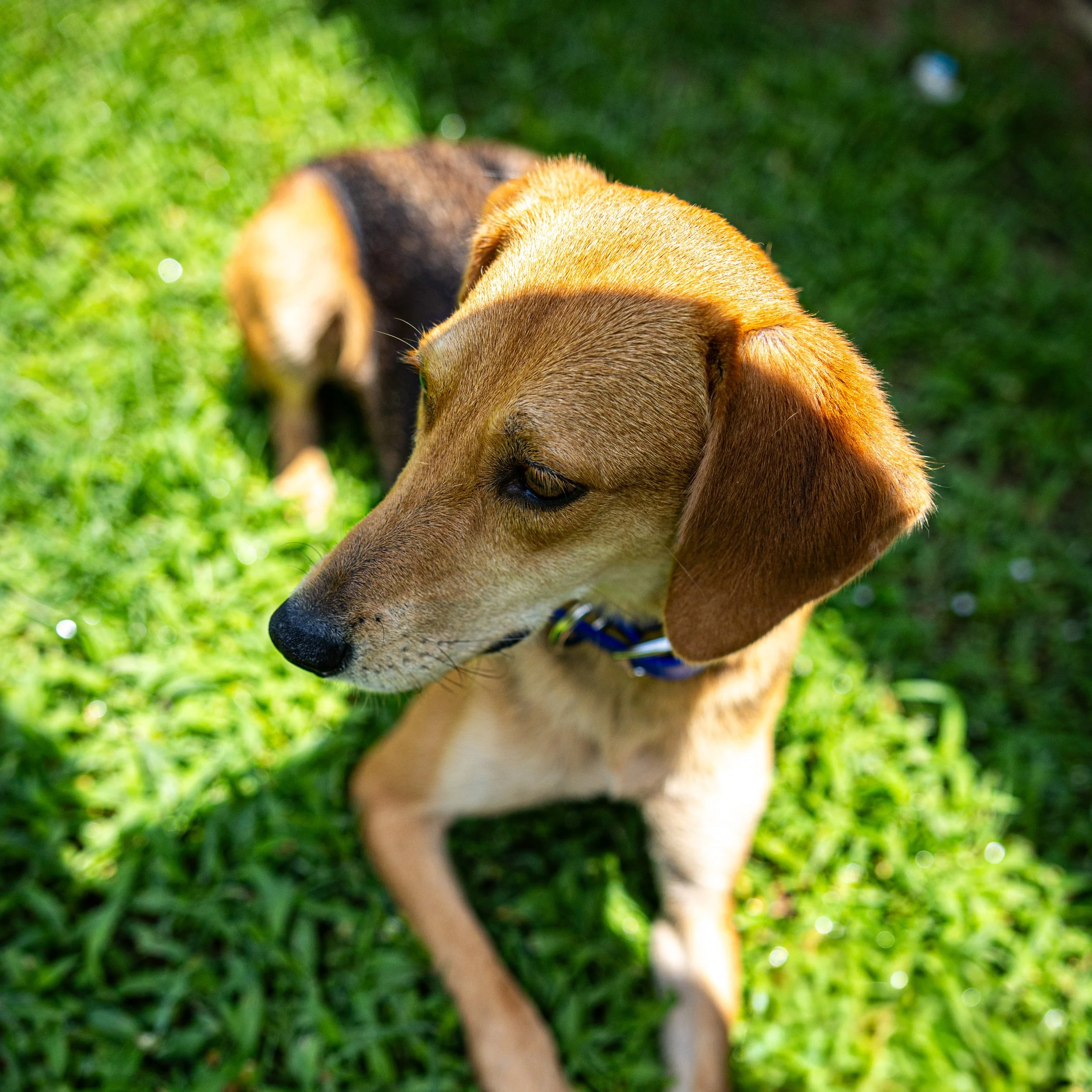 reba 20250620 OCHS FRIDAY HOT 0D0A2840.jpg