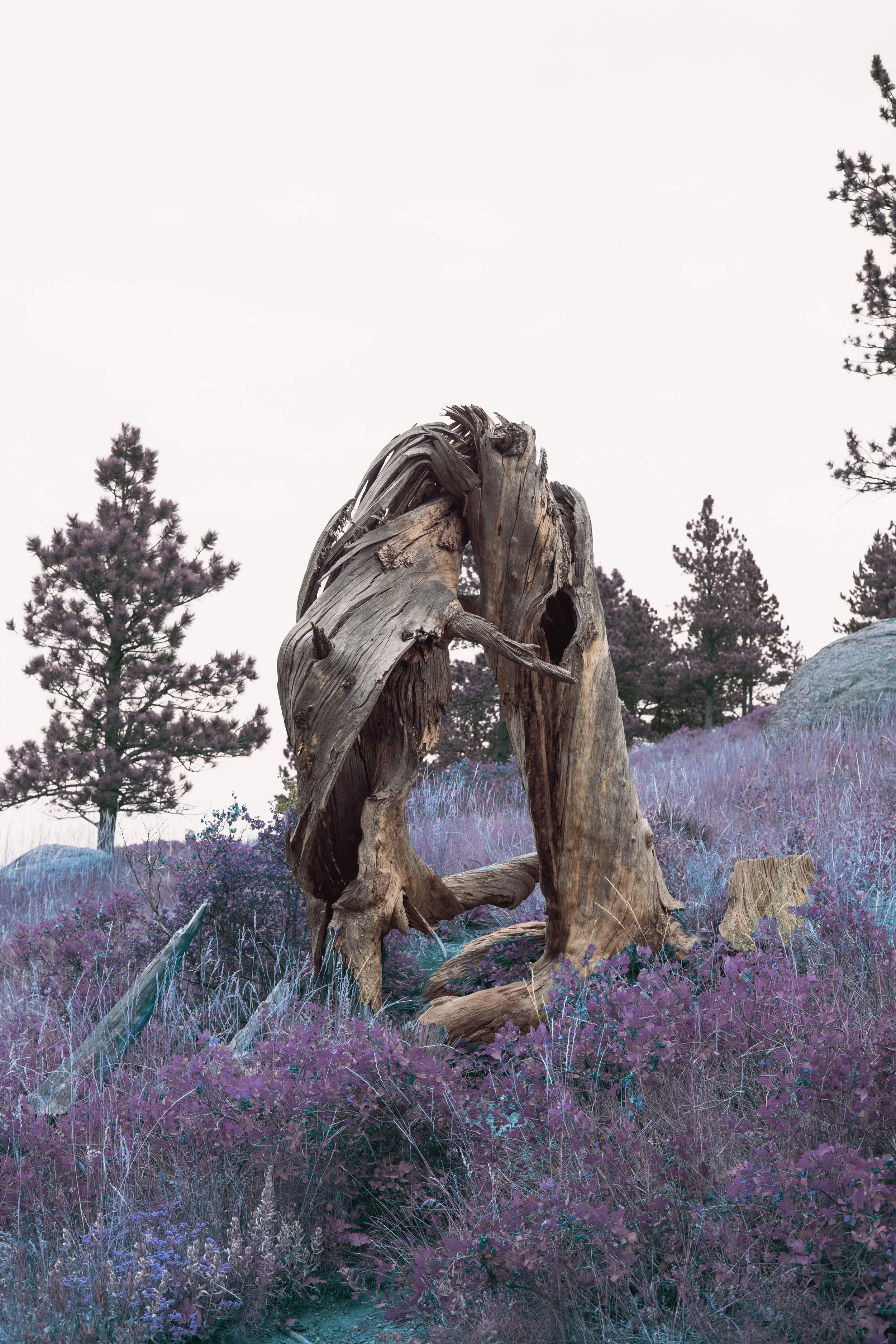 Still Standing