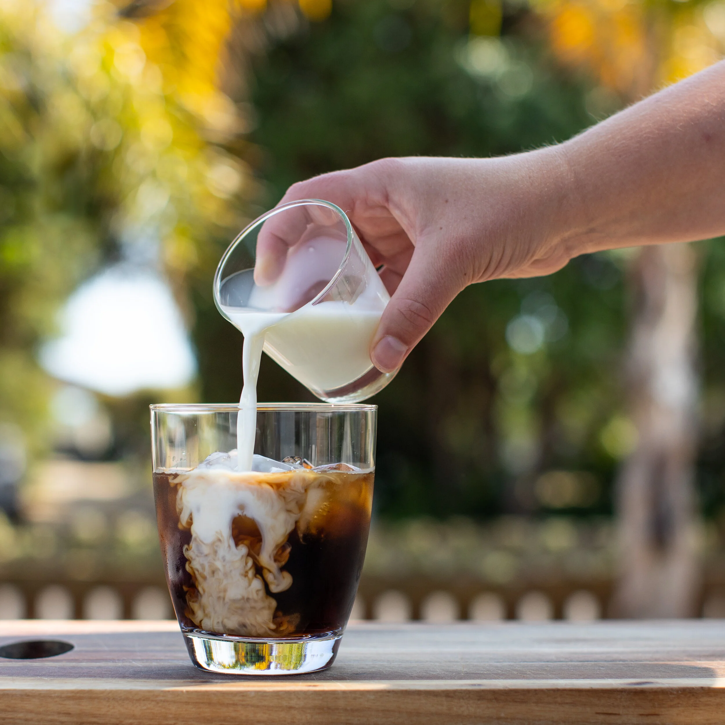 Harpoon Cold Brew Coffee