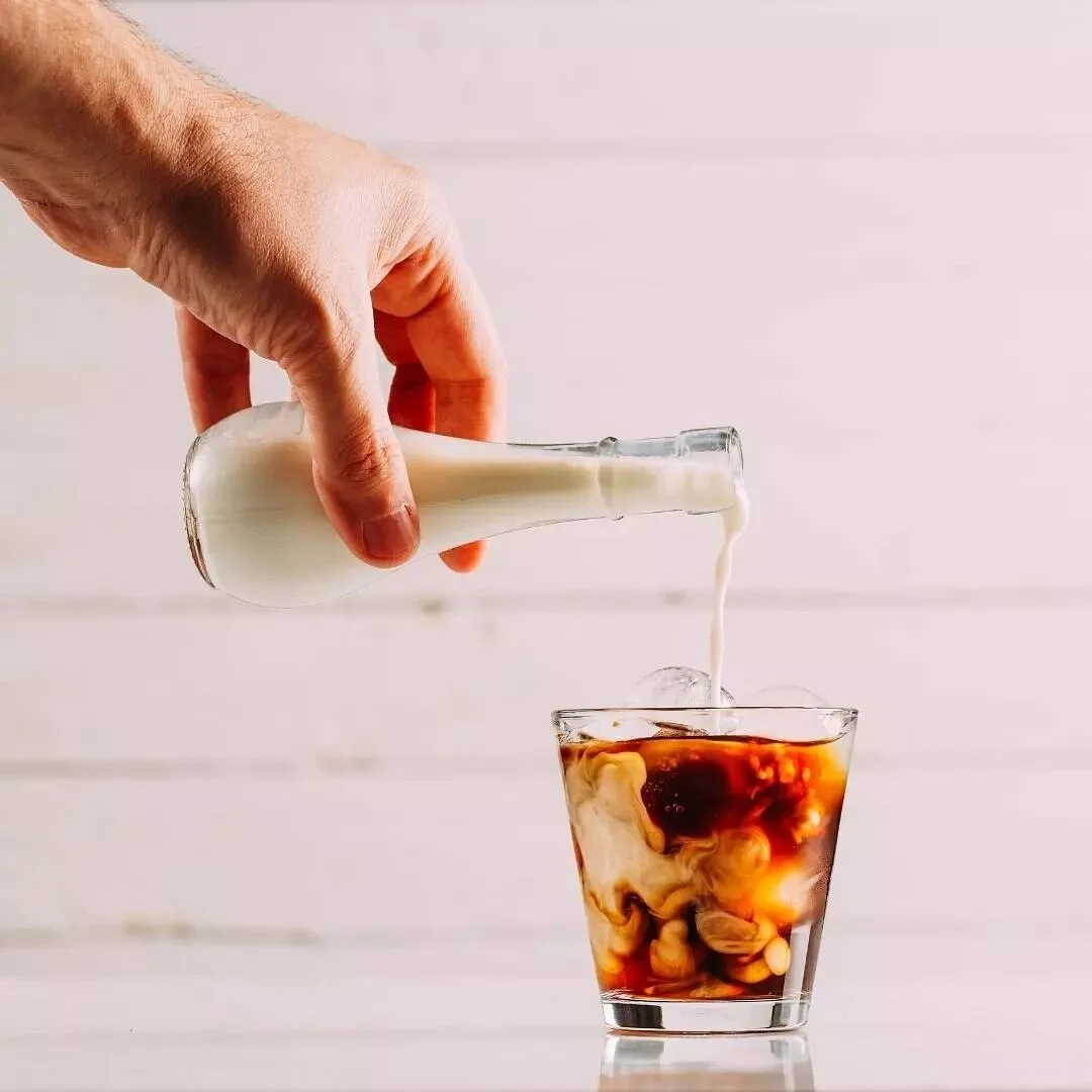 Harpoon Cold Brew Coffee