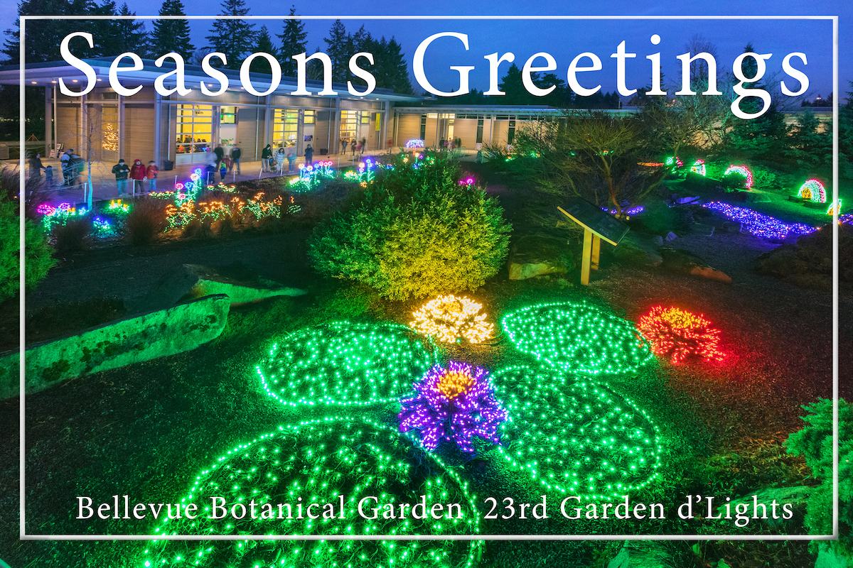 BBG Garden d'Lights