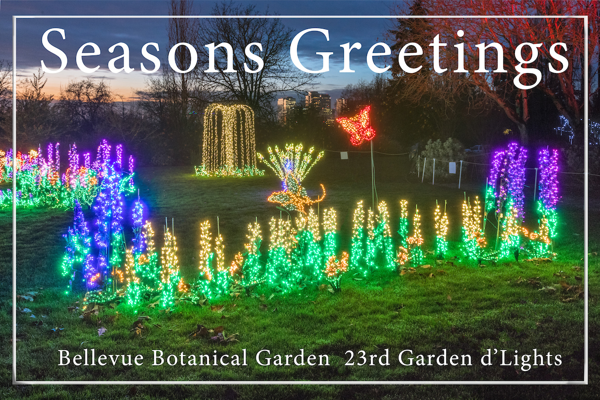BBG Garden d'Lights