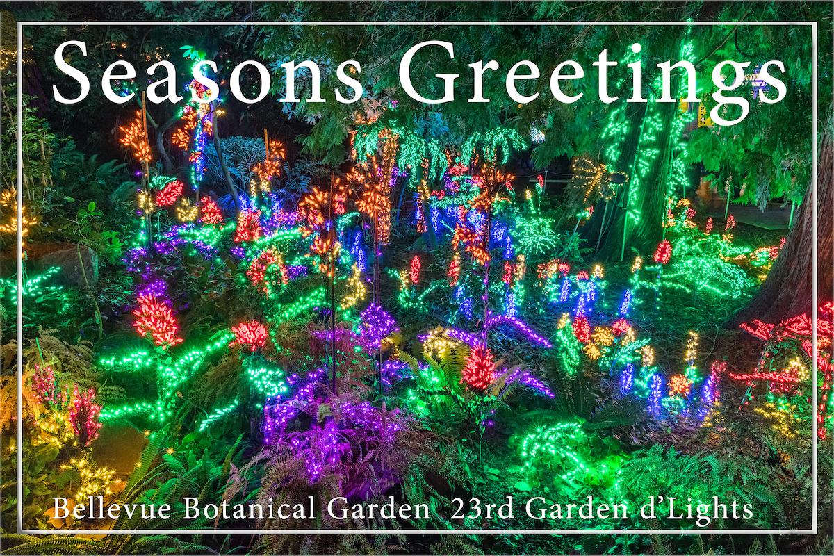 BBG Garden d'Lights