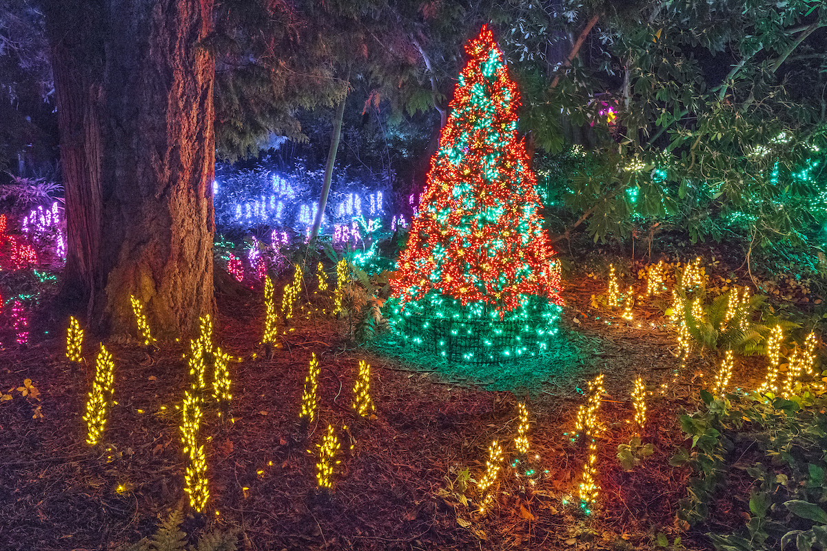 Bellevue Botanical Garden