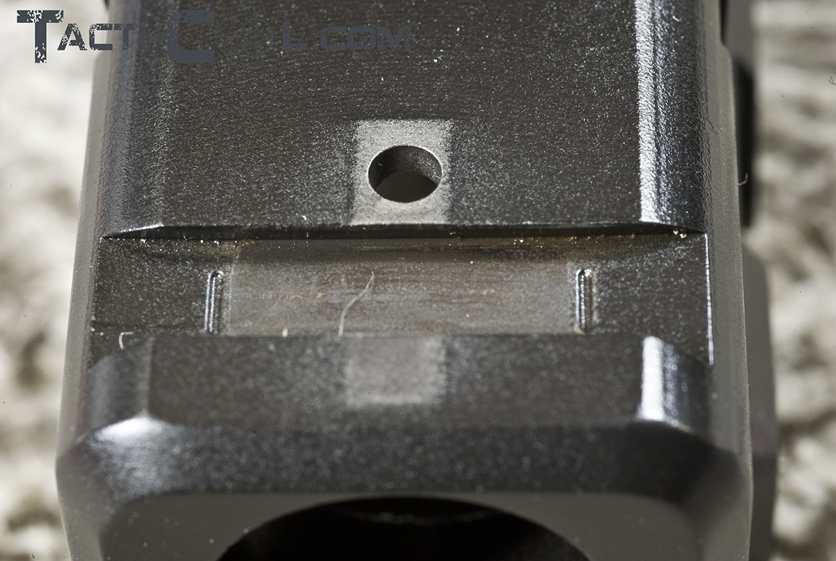 DSC_8342.jpg
