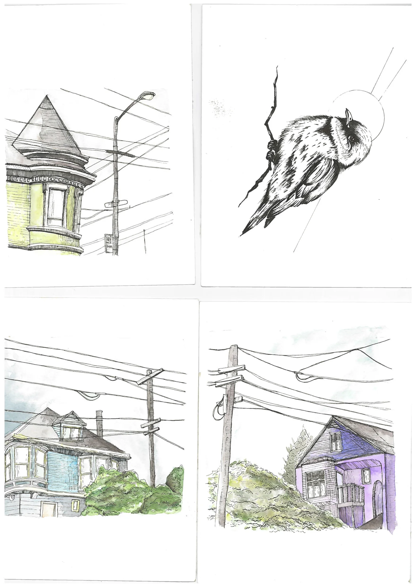 Scanned from a Xerox multifunction device.jpg