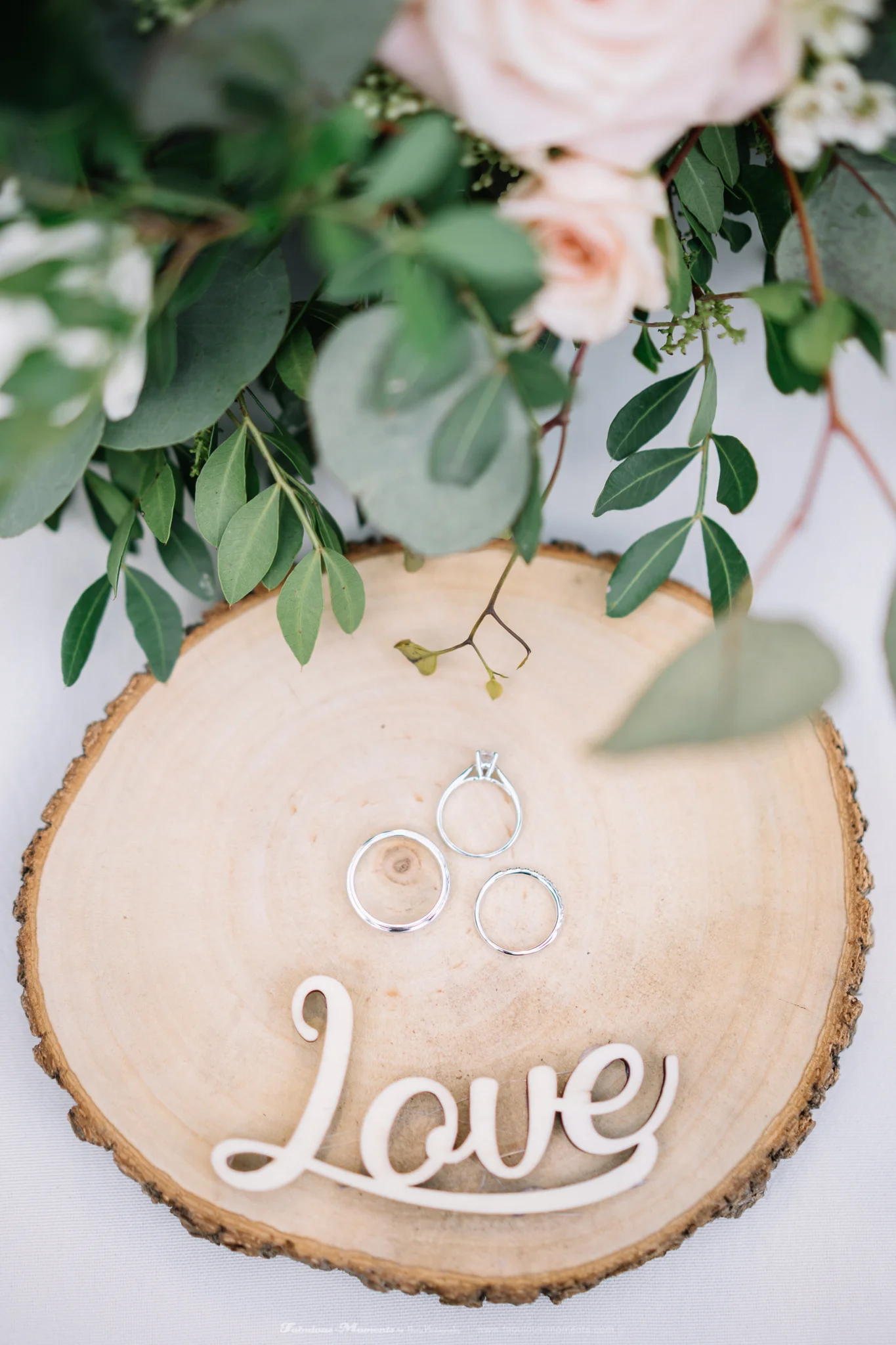 scott&erica-rom-12.jpg