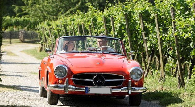 Grape Harvest along the Chianti wine trail: From Florence to Siena