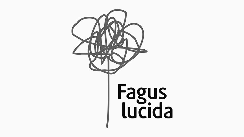 Fagus_lucida-Stiftung.jpg