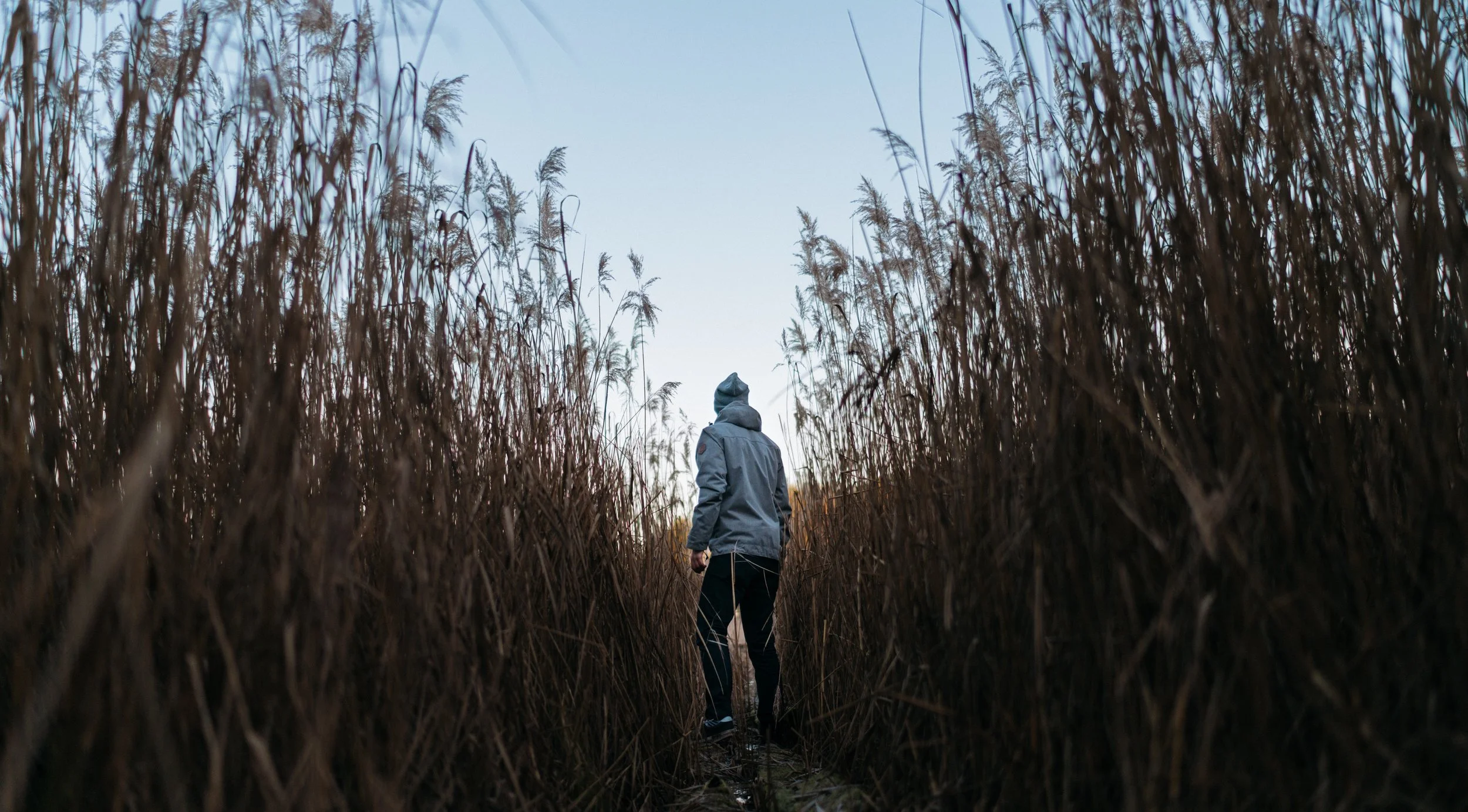 Photo by Simon Migaj on Unsplash
