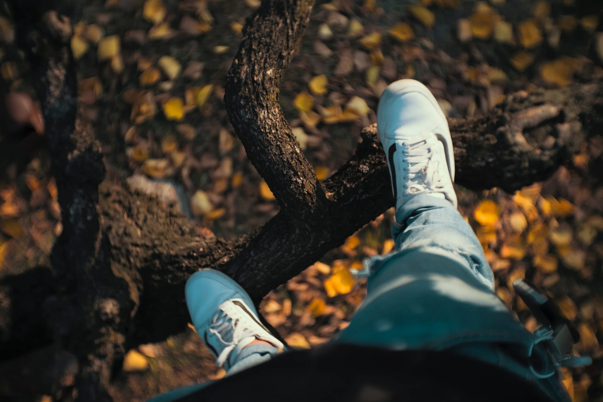Photo by Filippo Ruffini on Unsplash