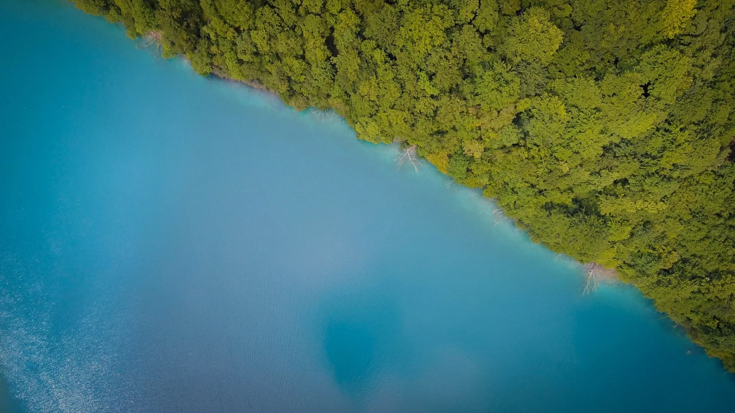 The zip lining metaphor.