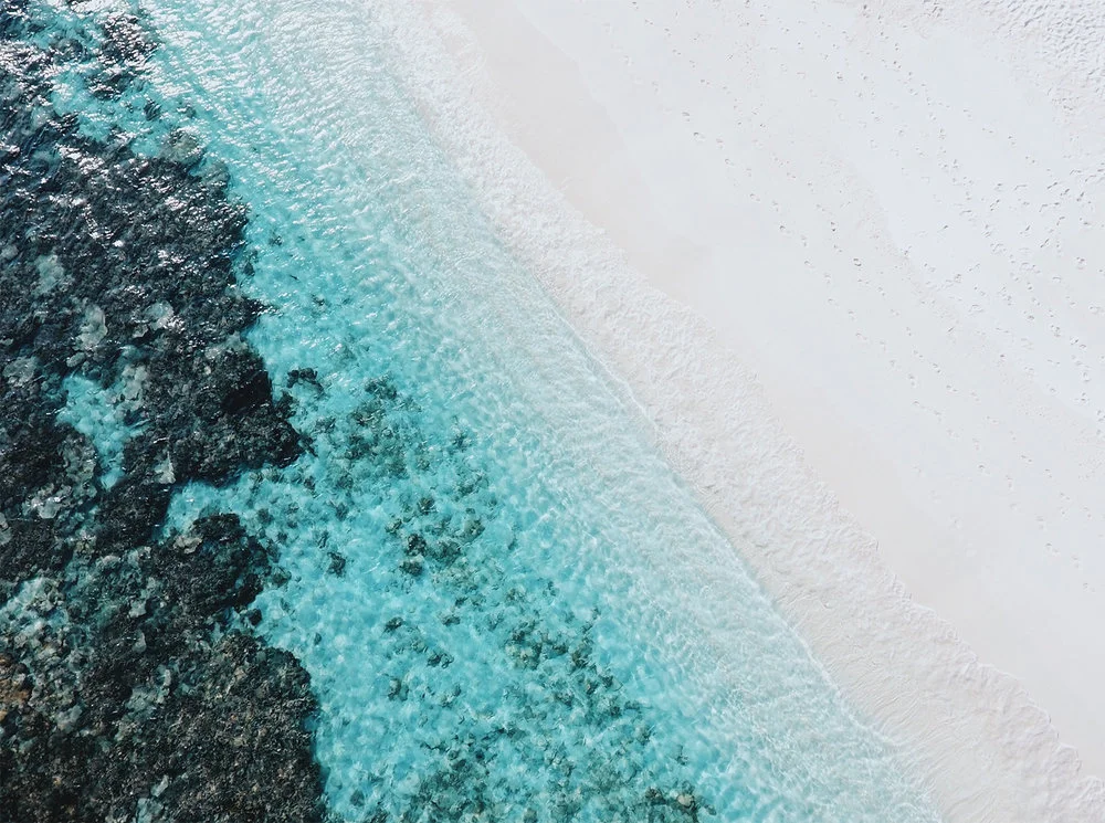 Abandonamos la 'rat race'.