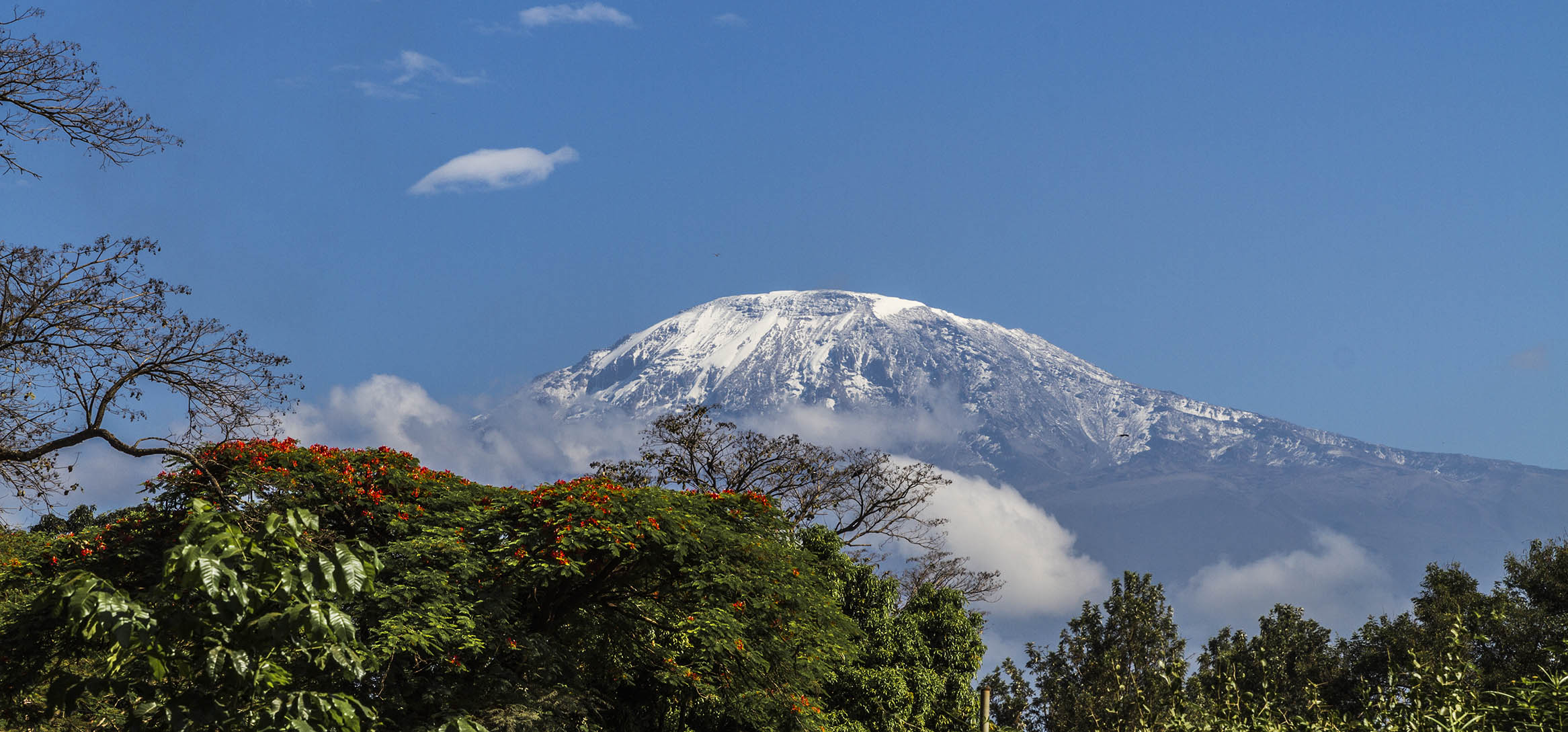 Mount Kilimanjaro, Tanzania. A rare glimpse of the peak uncovered by clouds.