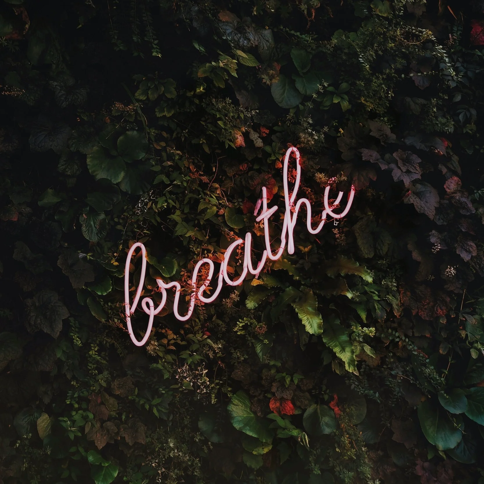Breathe+Large.jpg