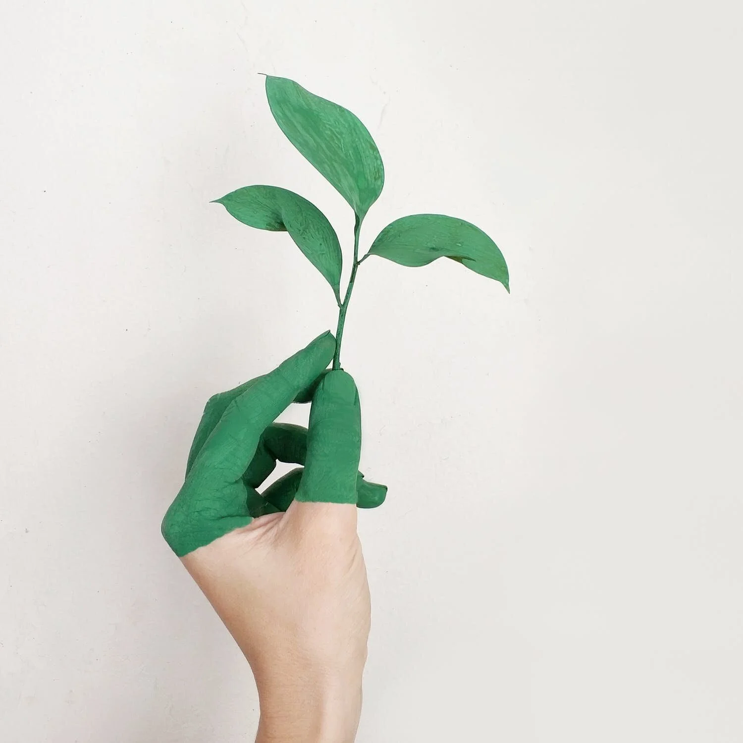 Mindfulness for eco-anxiety.