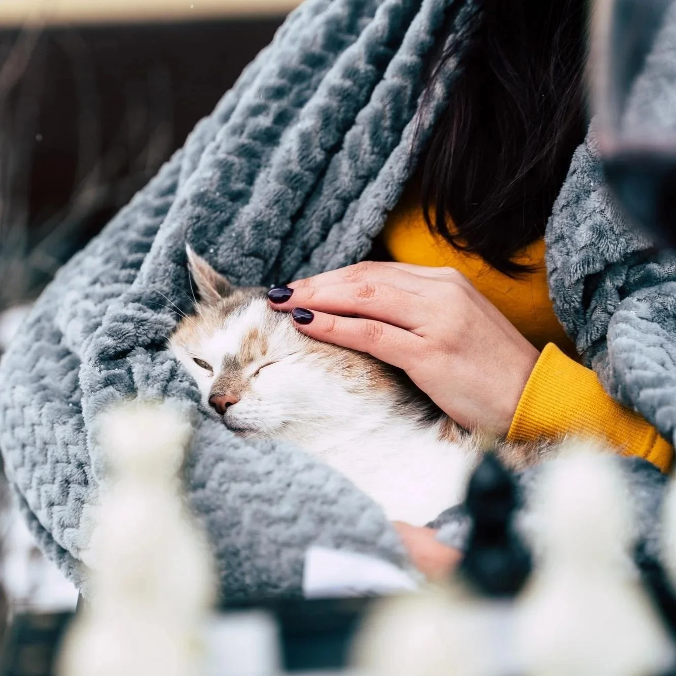 Grow Wild - Estaciones - Invierno. Día 4: Conectar.