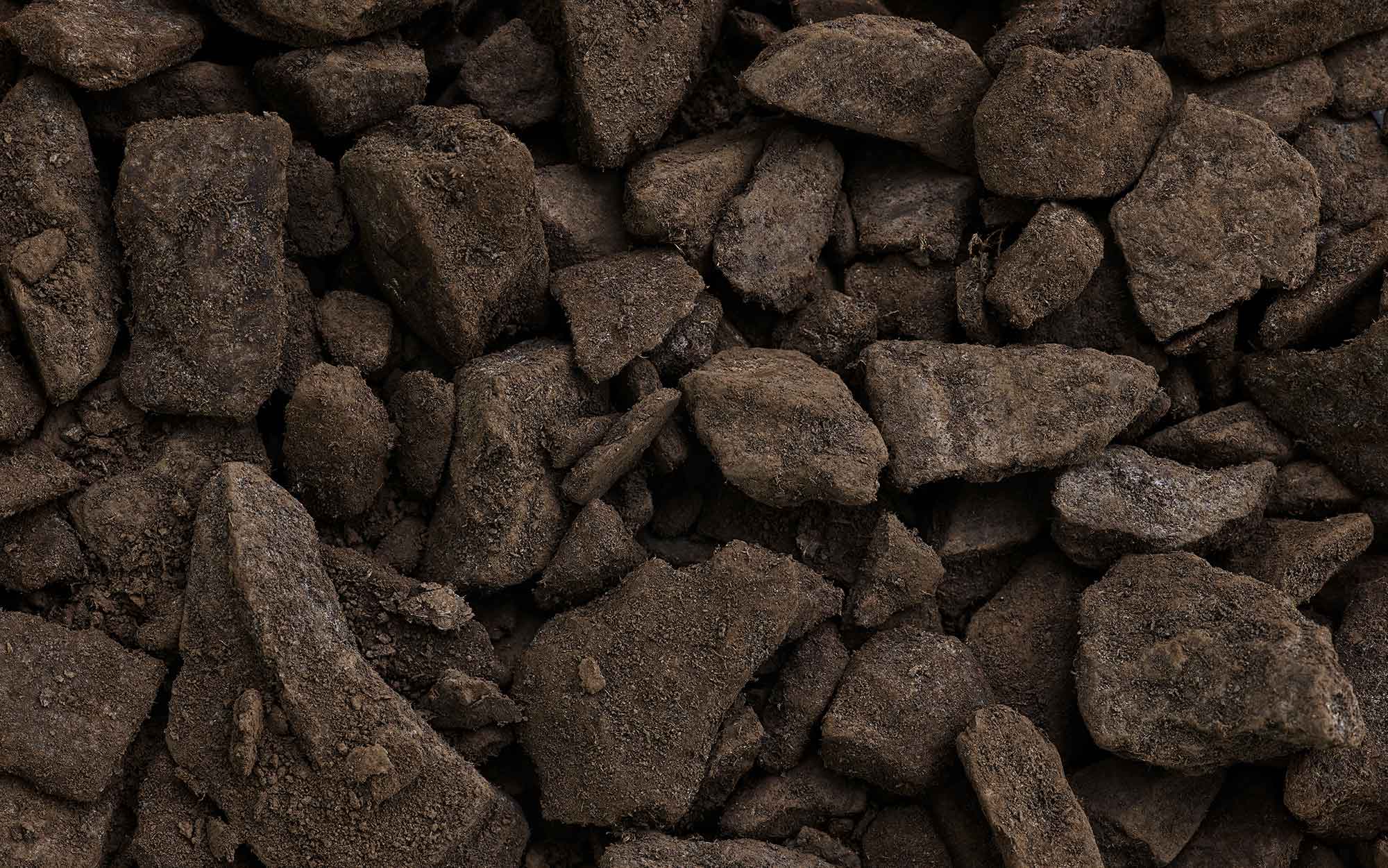 biocoal.jpg