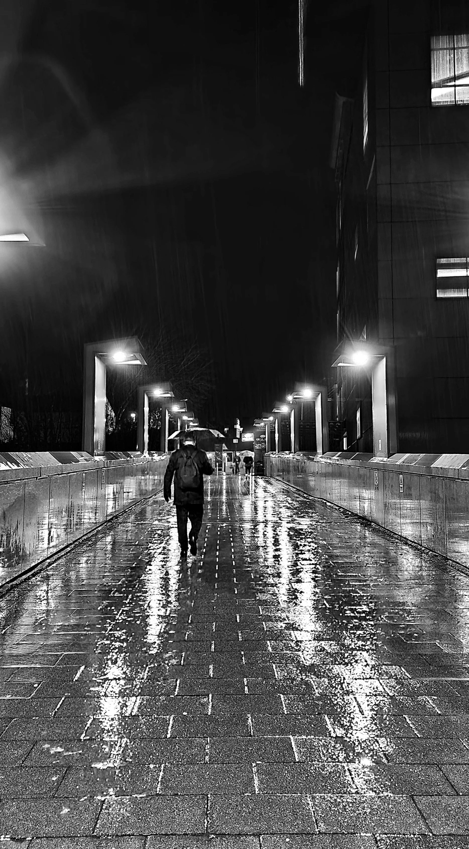Dave Kotula - Rainy Night