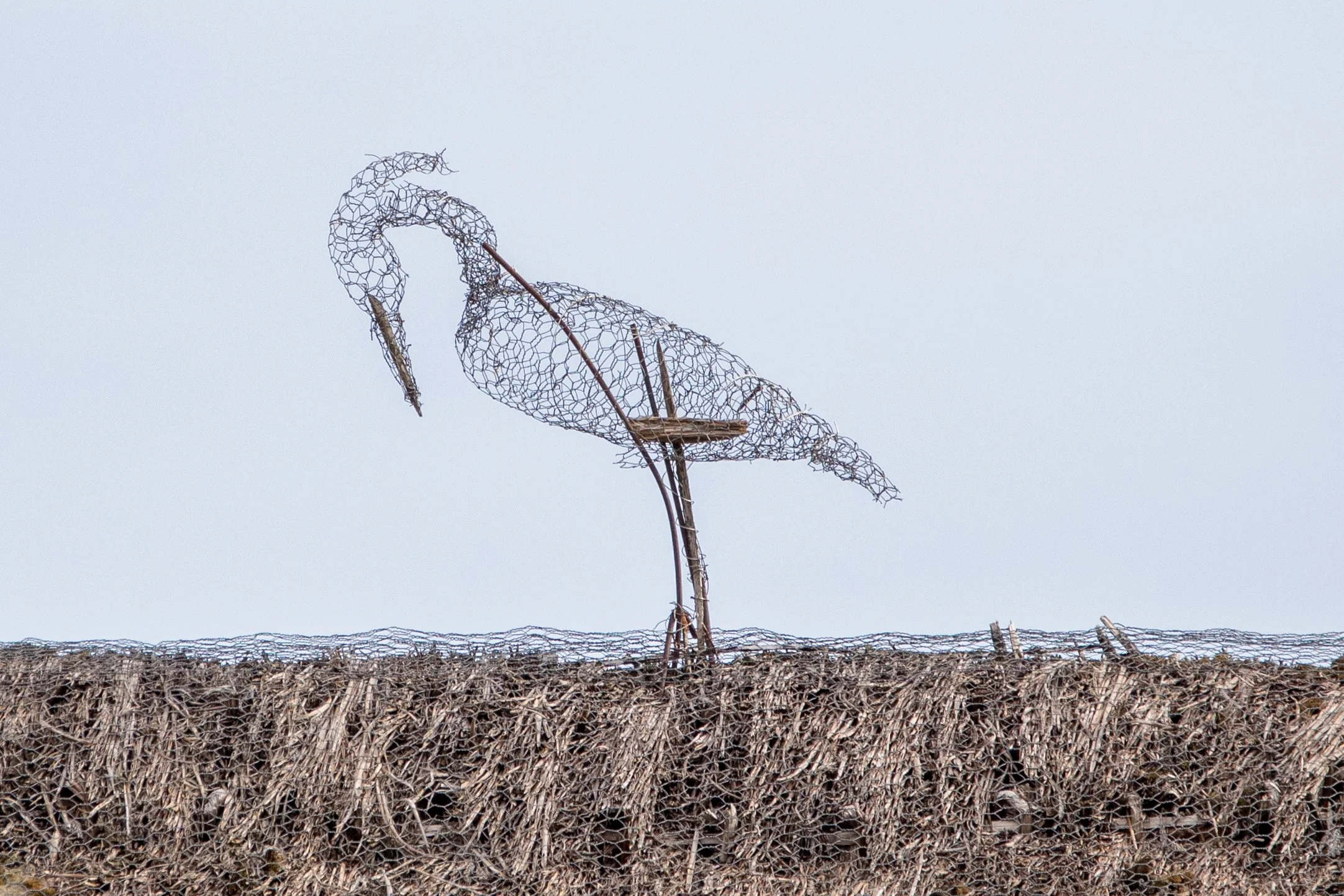David Bond - The Heron