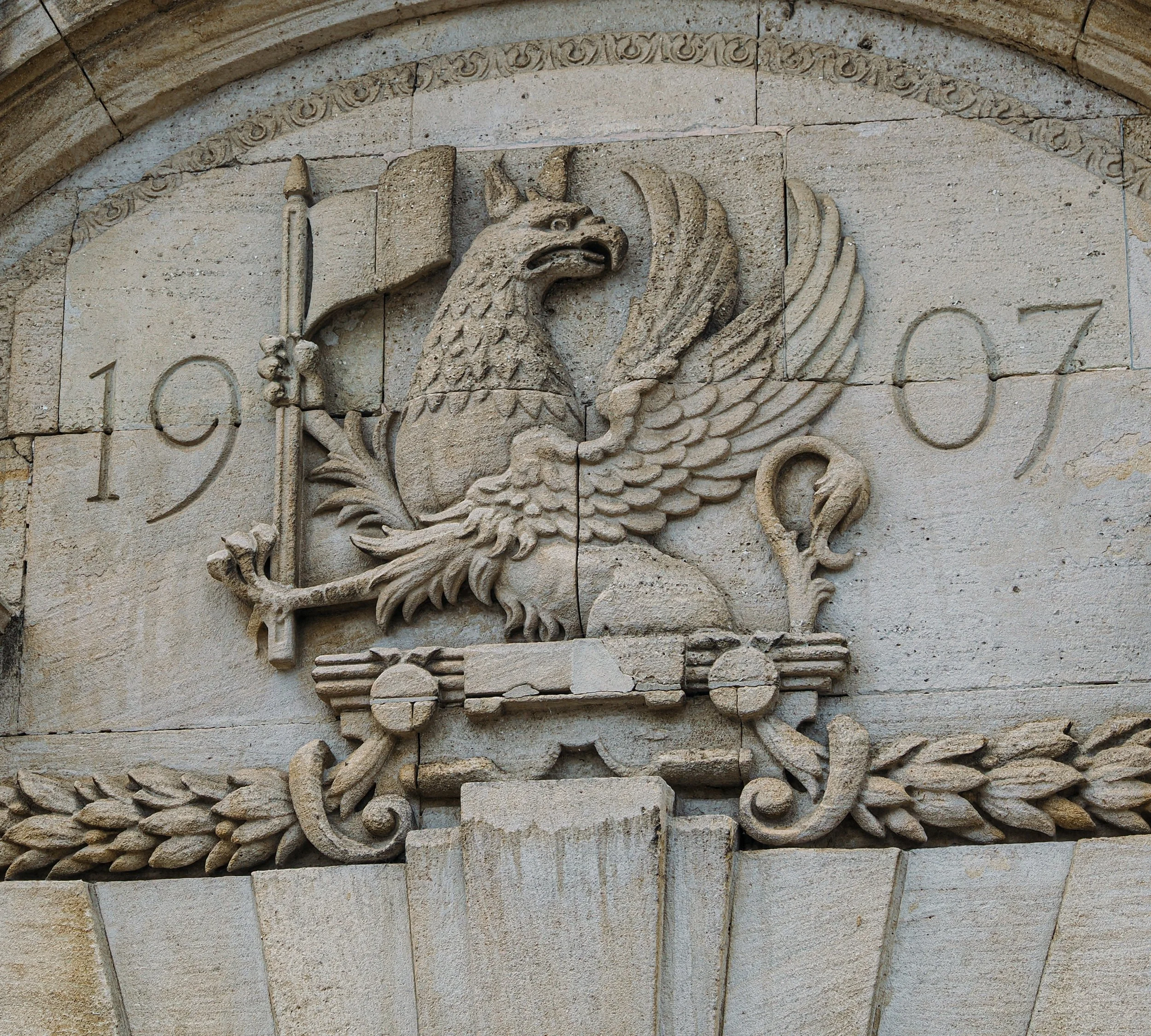 Nick Cavallo - The griffin