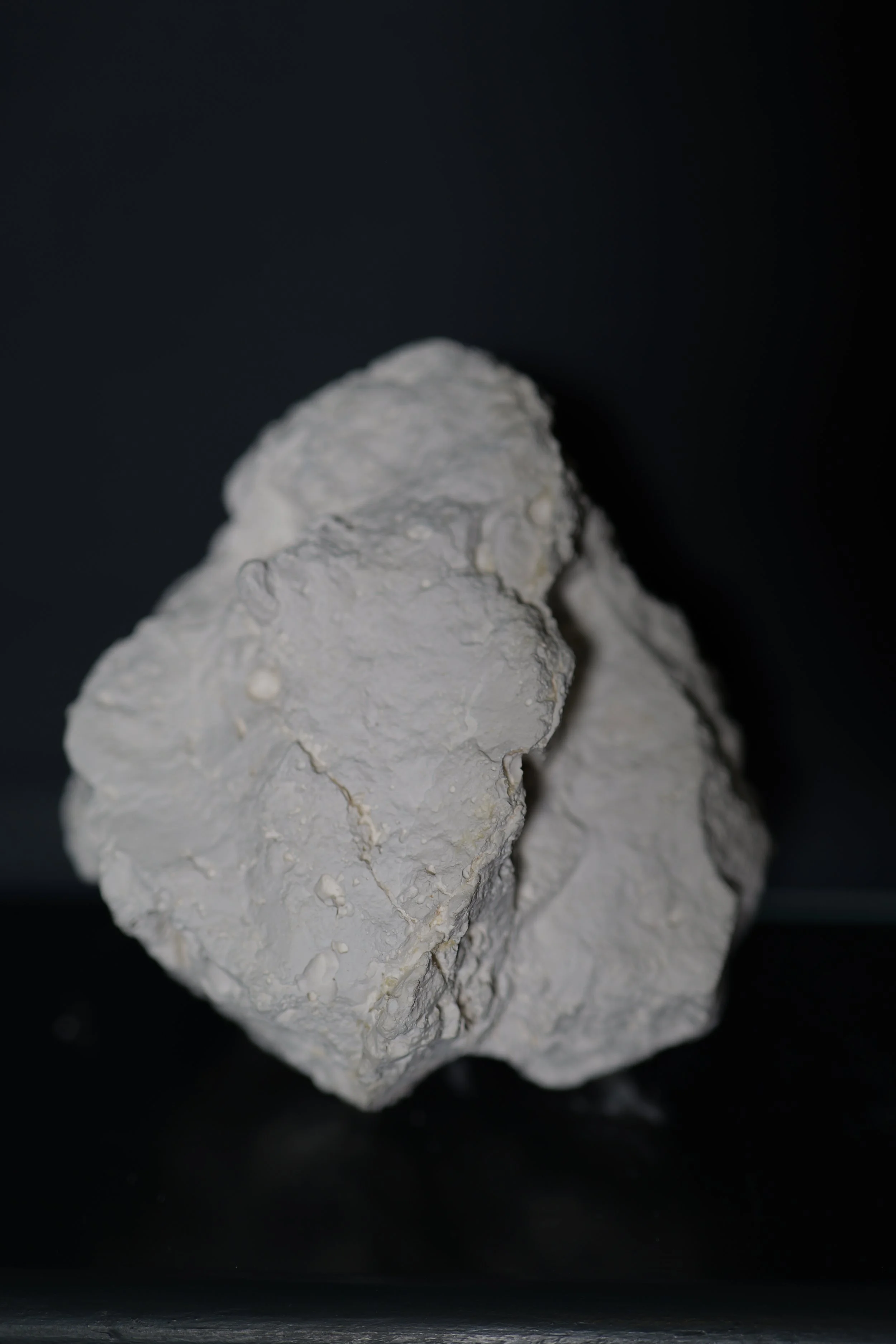 P1000417.JPG