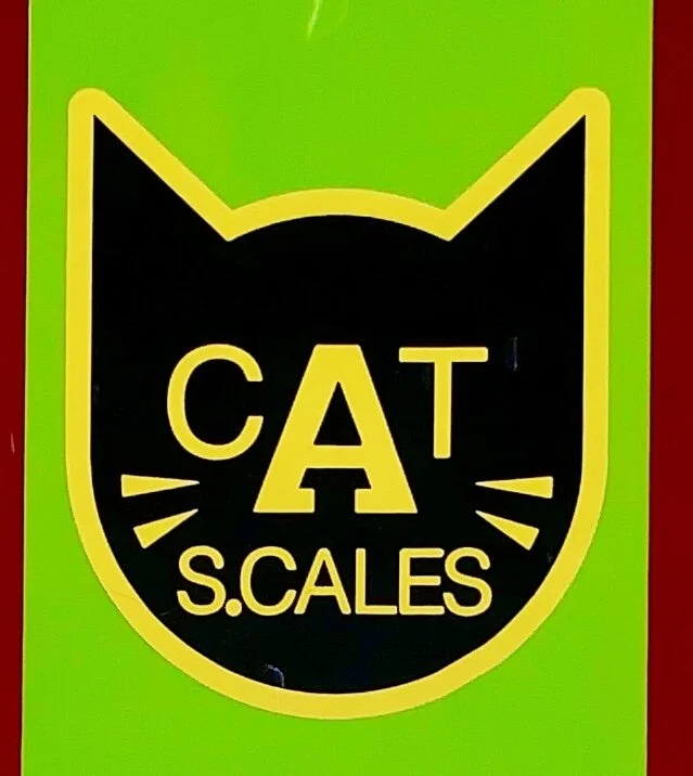 C5A0B1BF-53E2-4AF8-9BC9-20929FFB2E6C