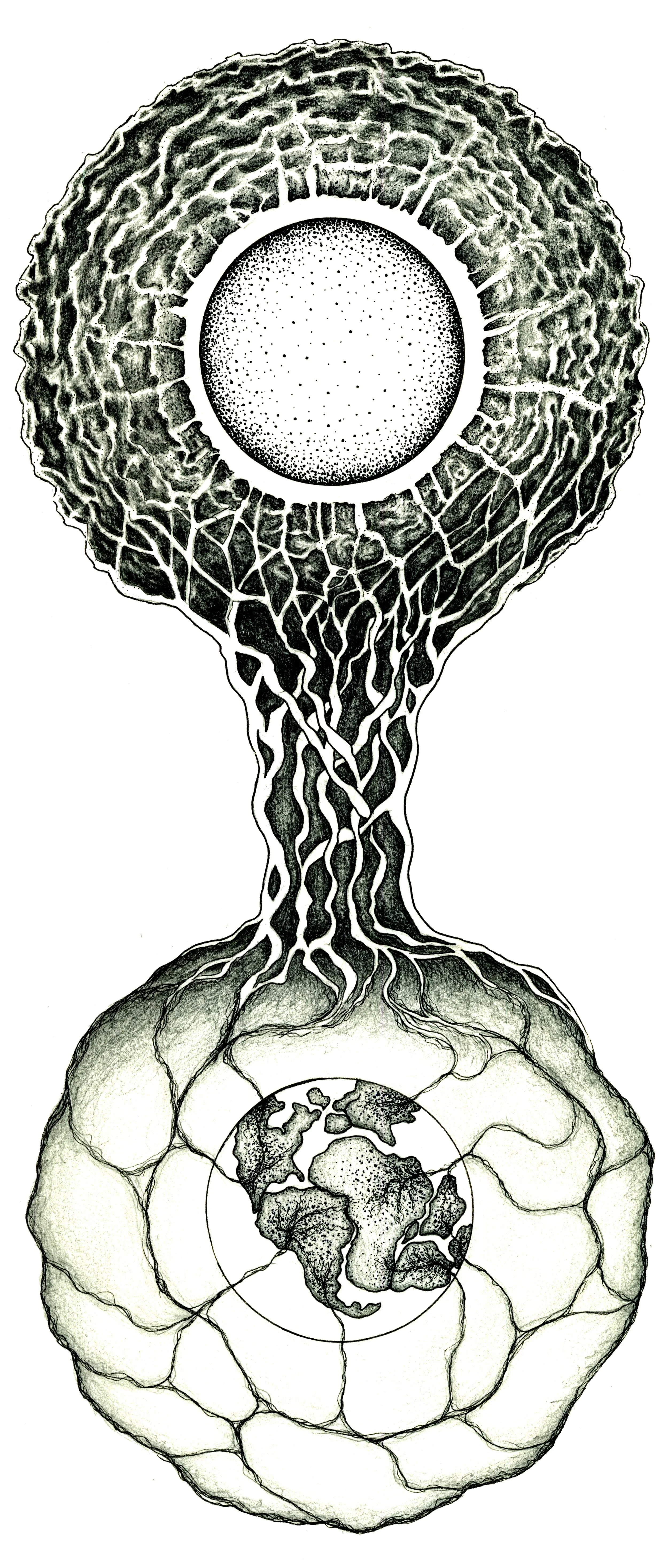 02_Photosynthesis_Ph02cr.jpg