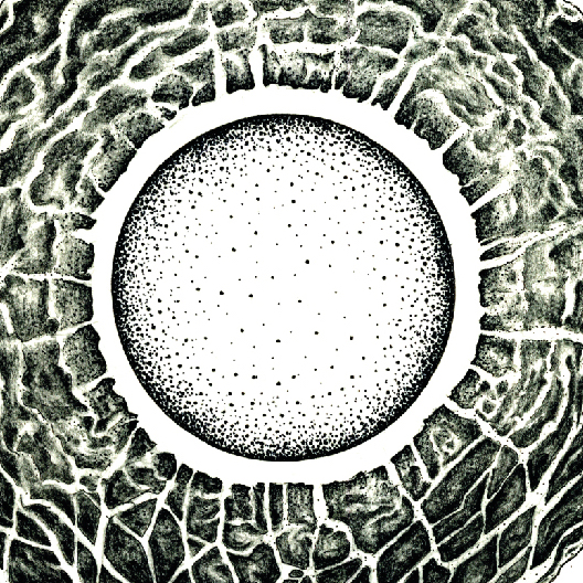 2_Photosynthesis1-01 copy.jpg