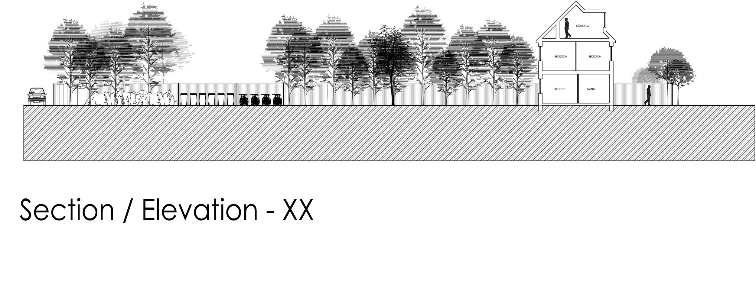 XX.jpg