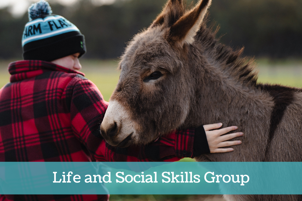 Services — FLASH FARM