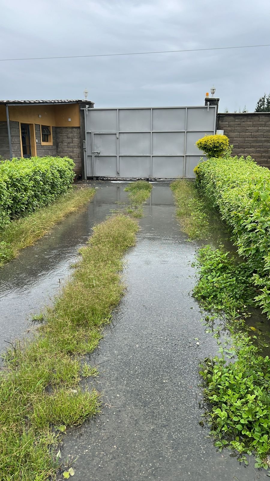 2024-05-01 - Kisaju Postulancy - flooded grounds-02.jpg