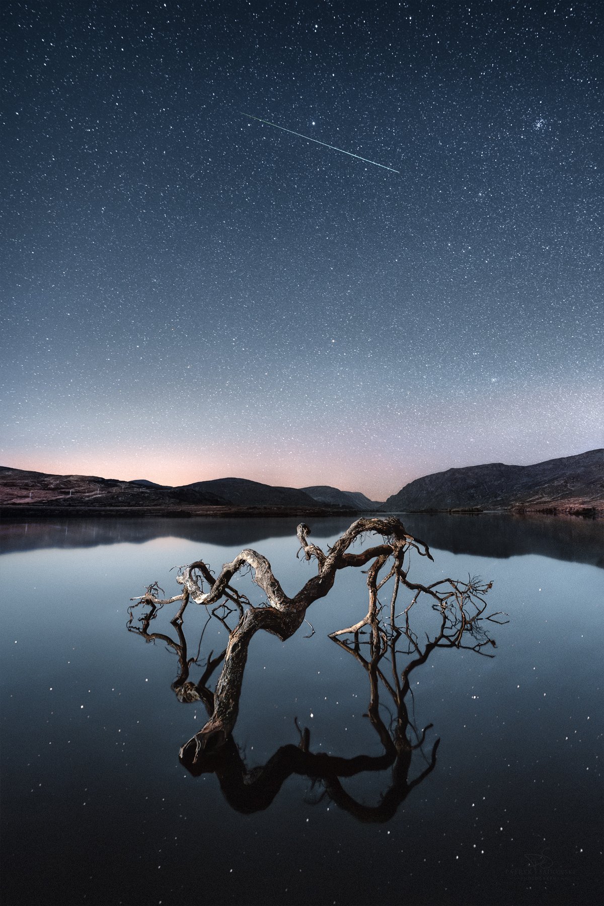 Glenveagh Night Beauty
