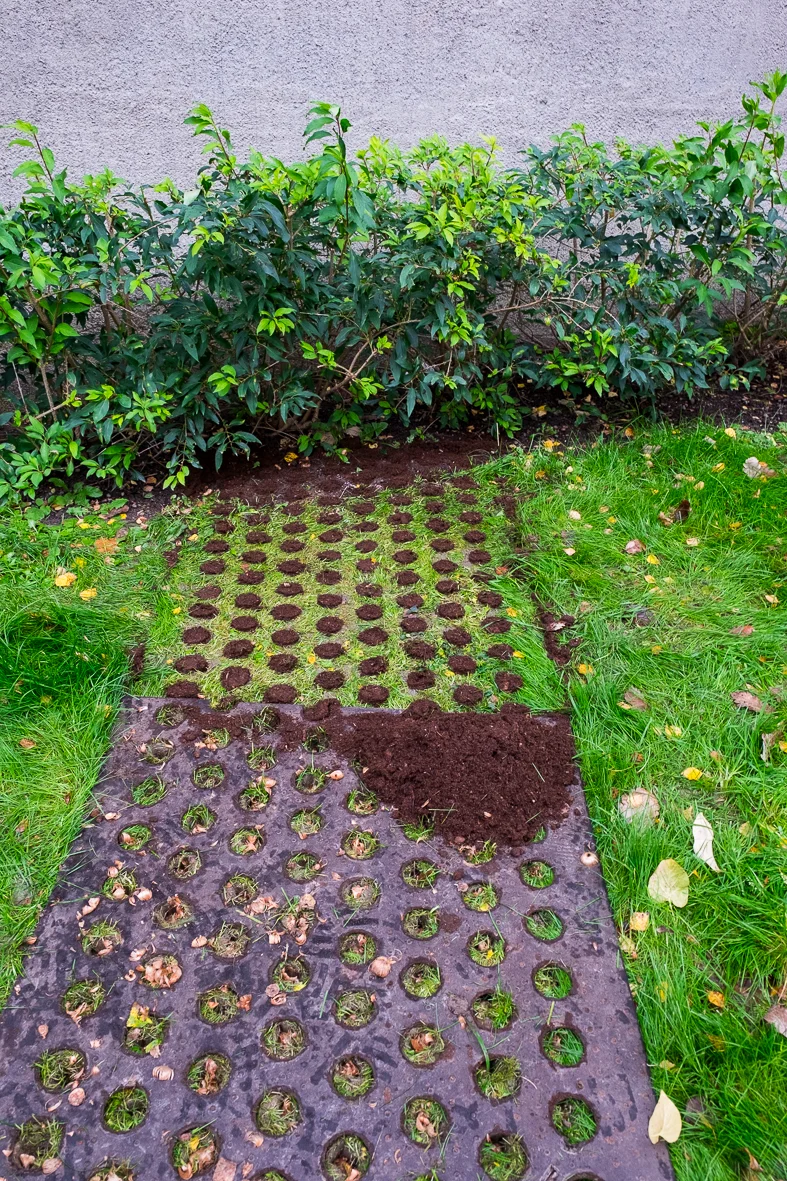 haugerudbekken_beplantning-19.jpg