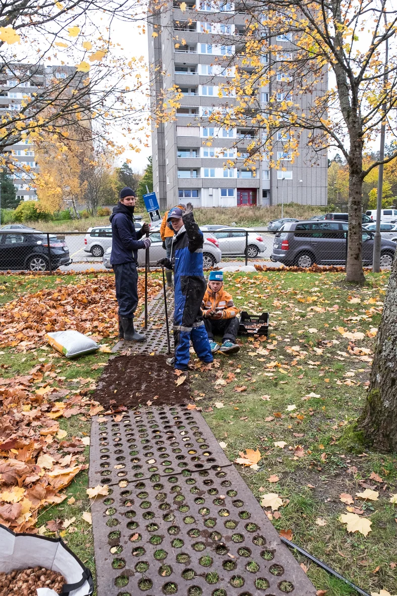 haugerudbekken_beplantning-27.jpg