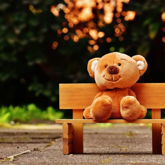 Foster Care: The Emotional Journey 