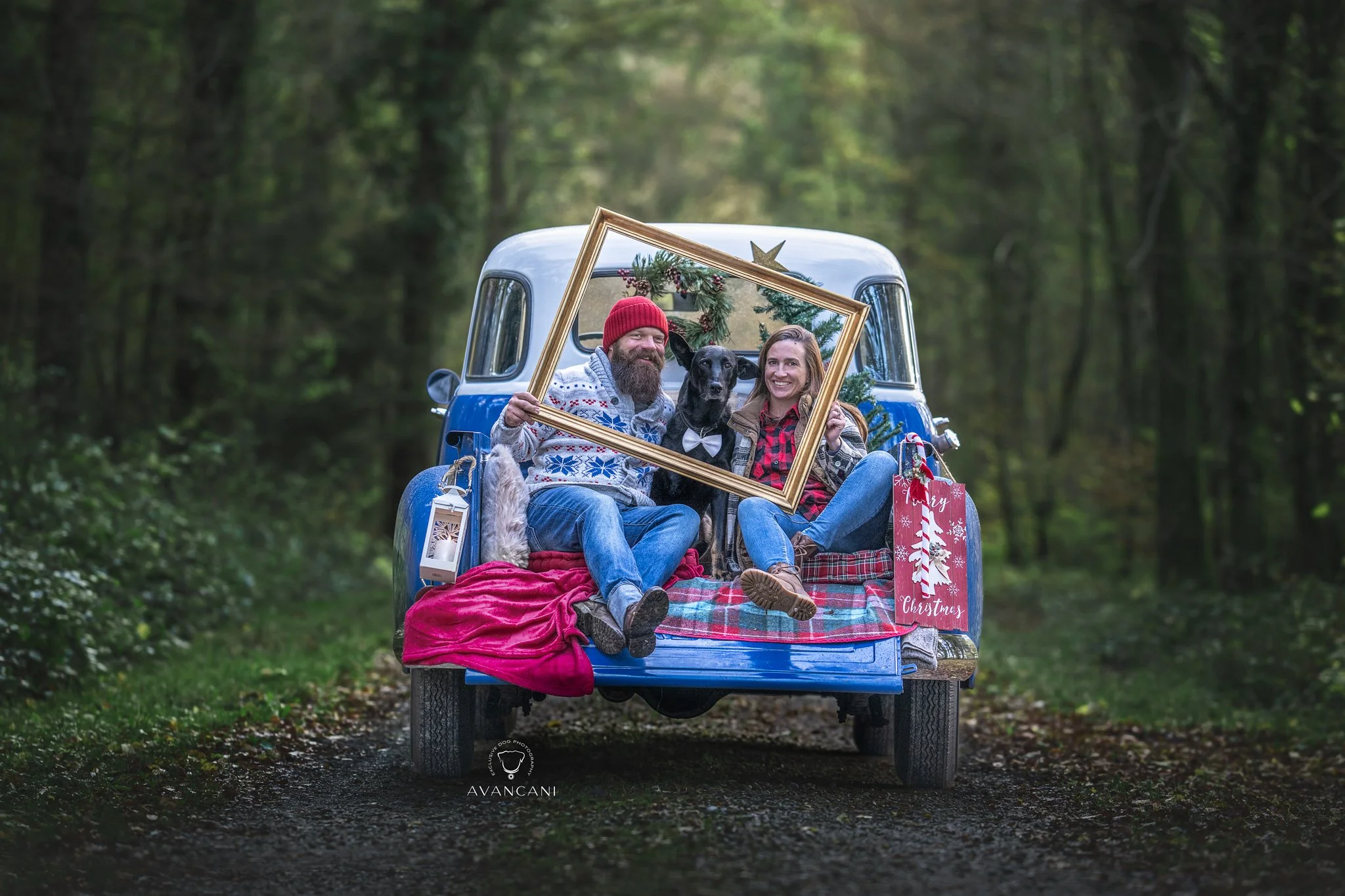 Weihnachtsshooting mit Hund