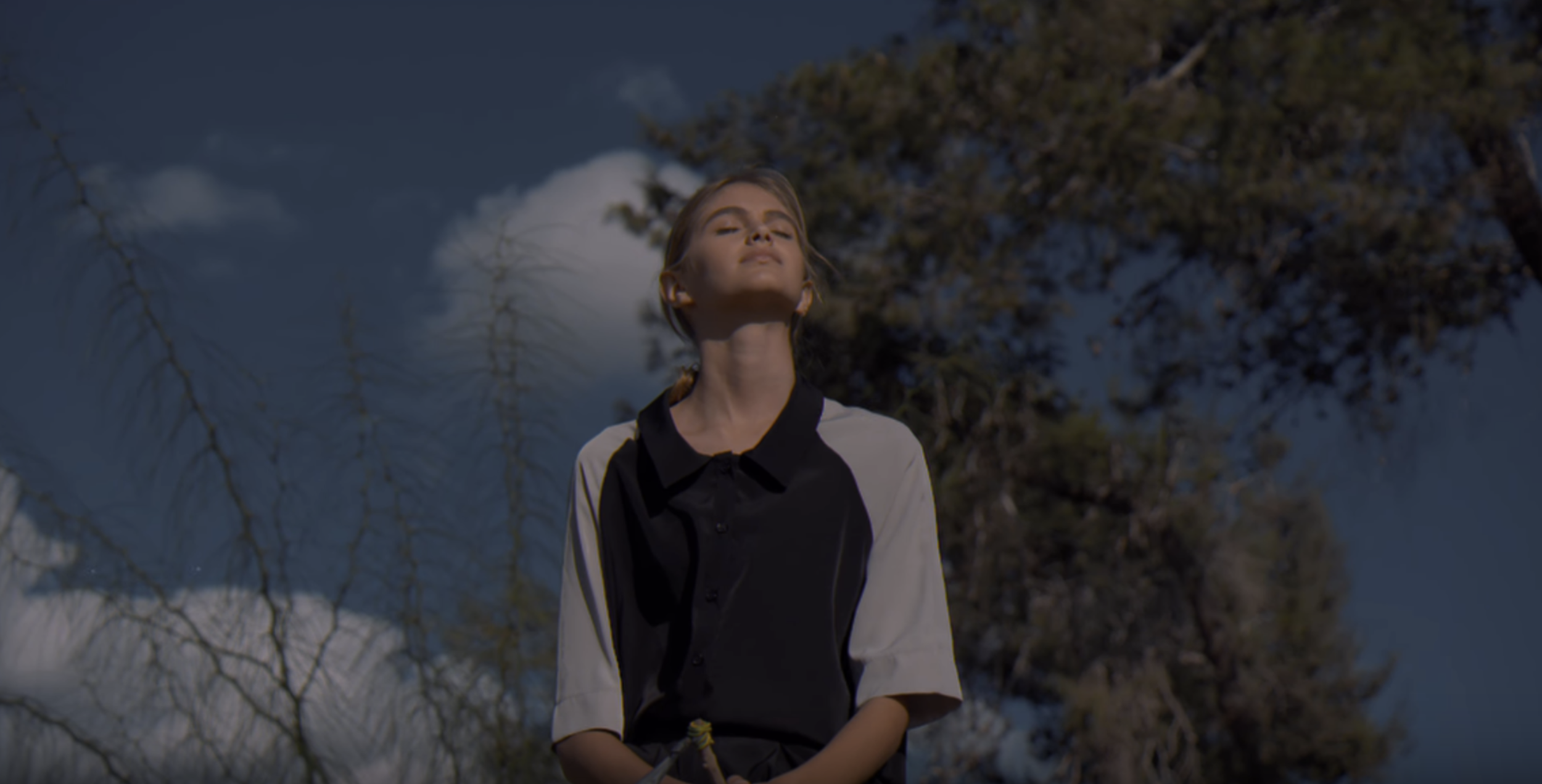 m i s h a - Fall 2015