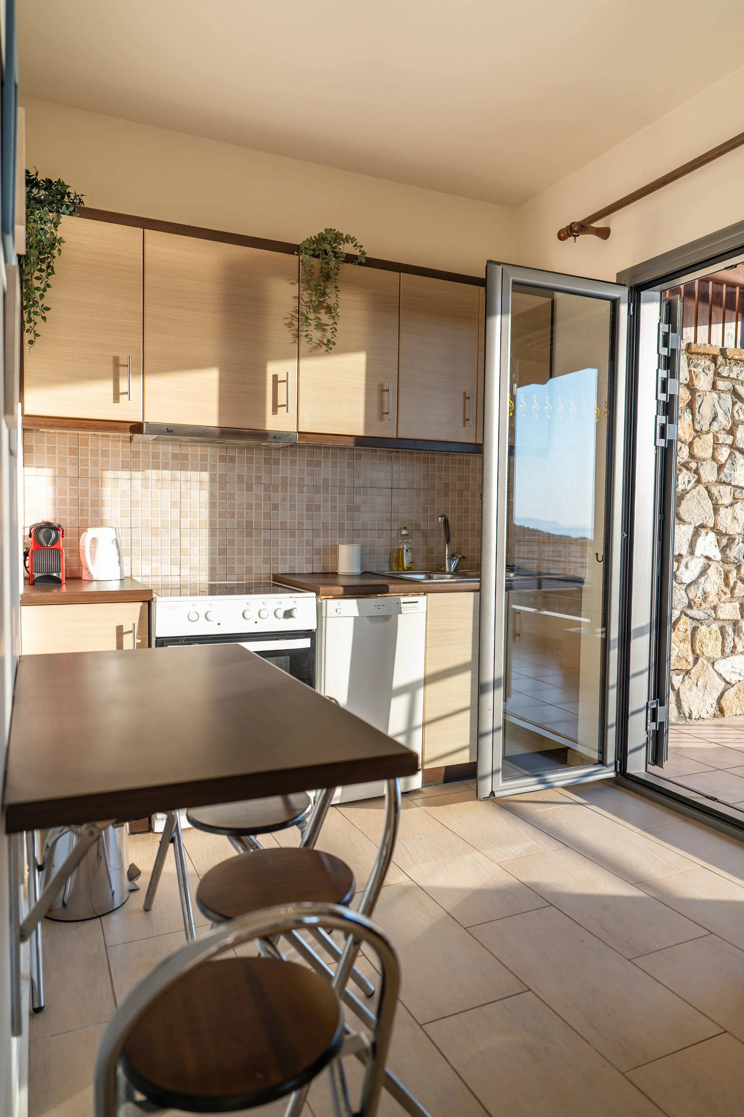 DSC08394.jpg