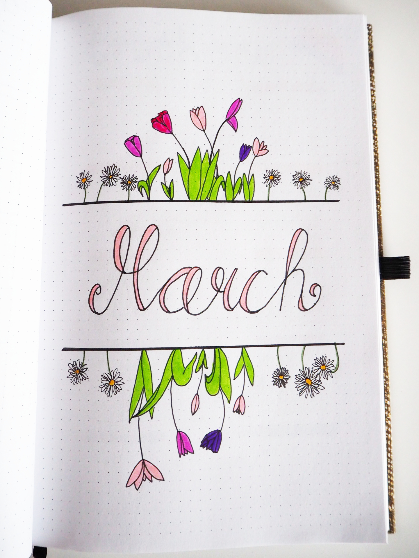 My favourite cover page so far!